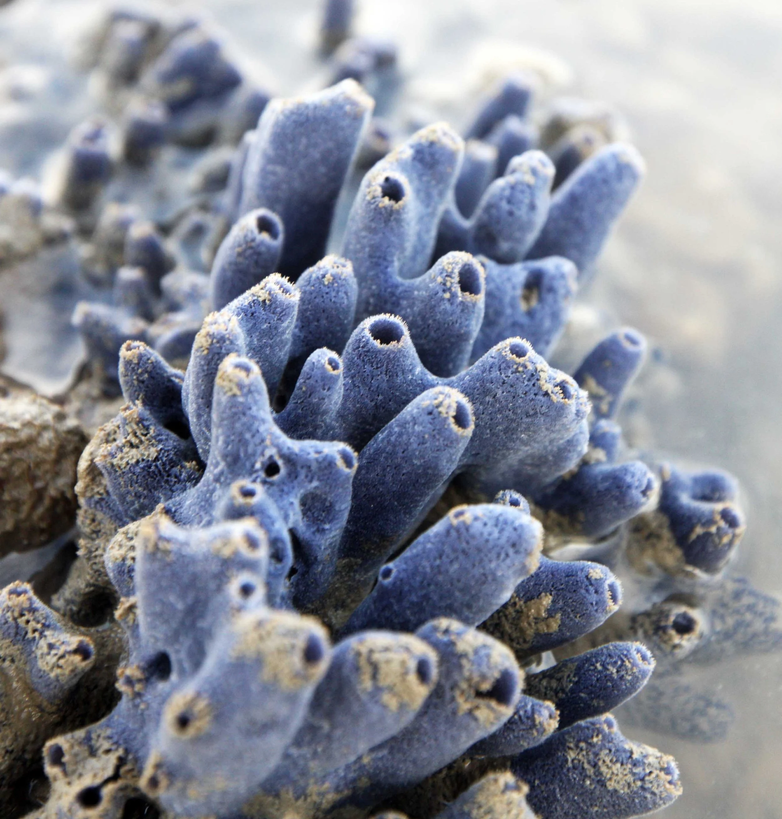 2015 Koh Lanta Songkran with friends from ISB (253).JPG