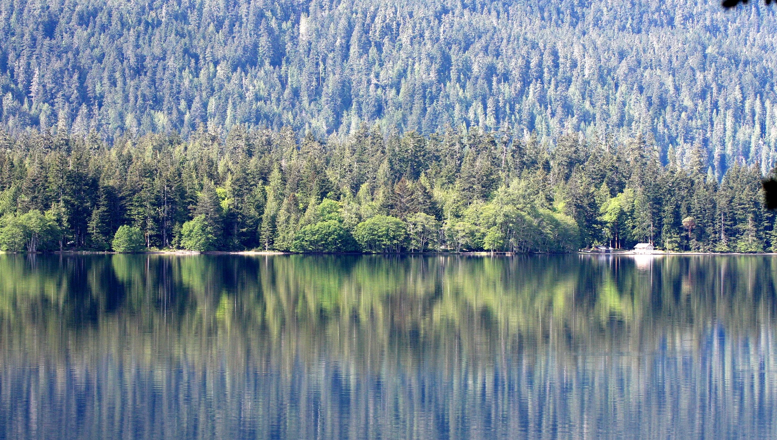 CRESCENT LAKE - MIRROR IMAGES (2).JPG