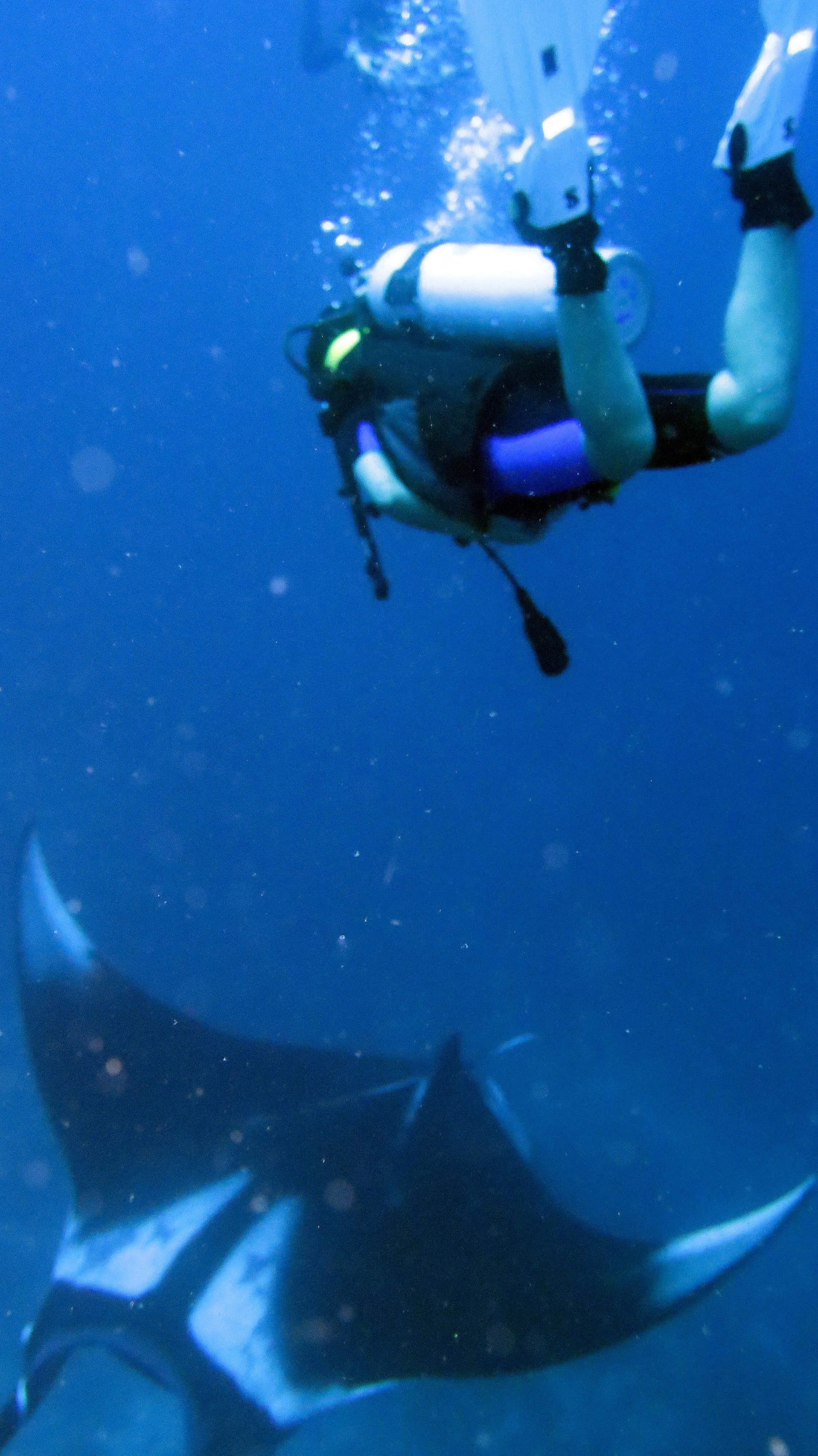 2016 Similans Dive Trip with ISB GCW (9).JPG