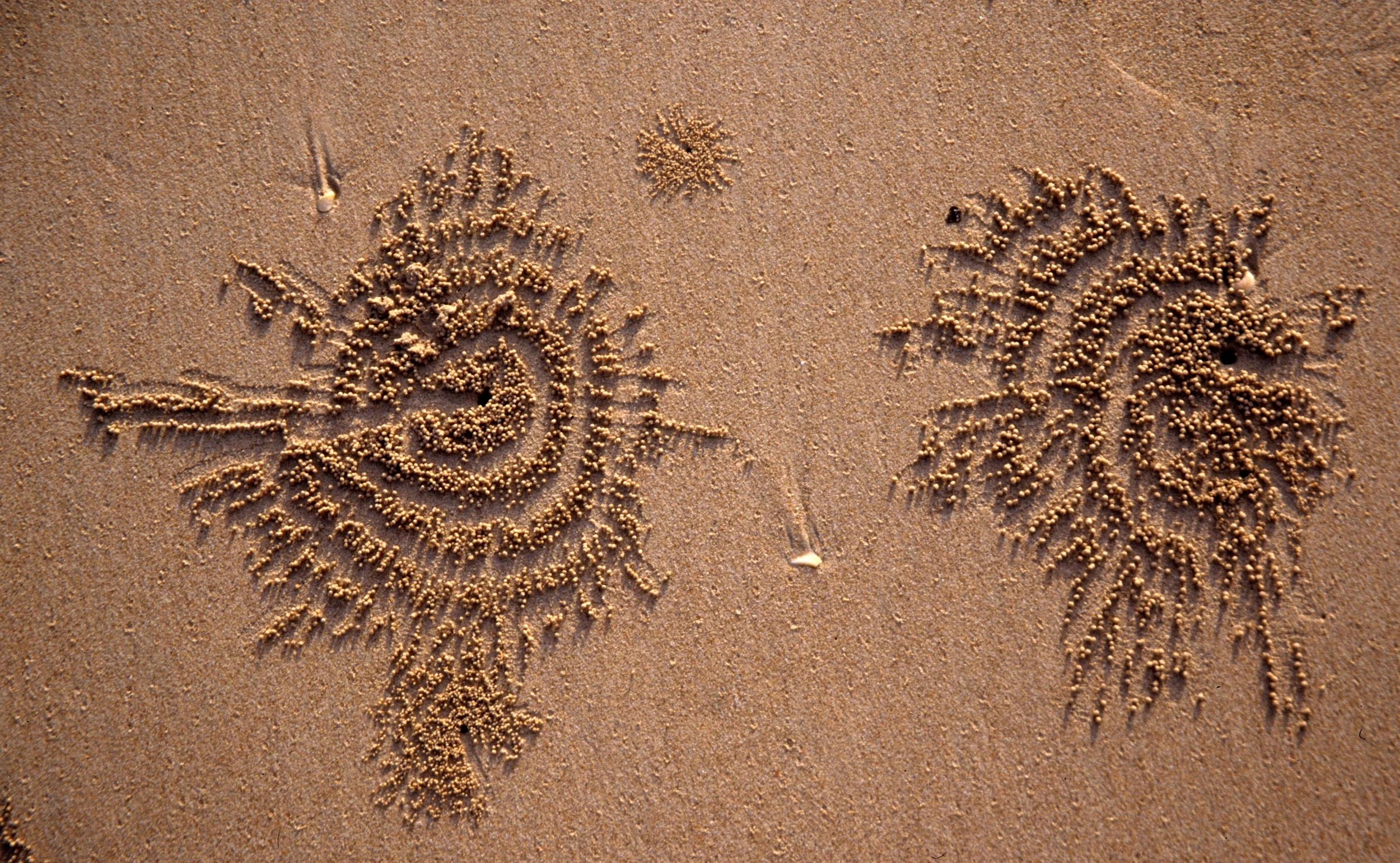 KRABI - RAILEY BEACH - CRAB BALLS.jpg