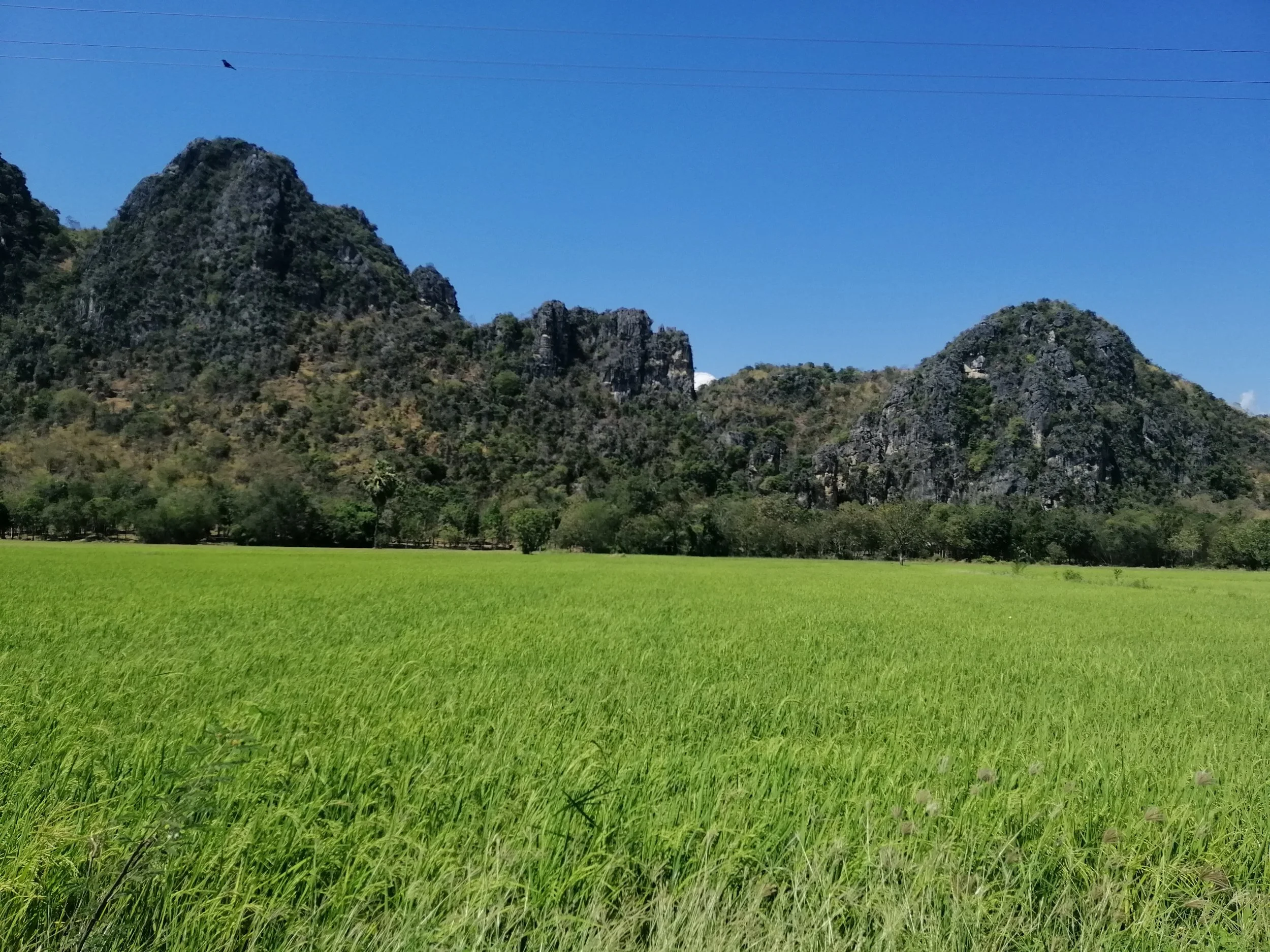 2019 Petchaburi & Cha'am Trip with Cokie & Gift (12).jpg