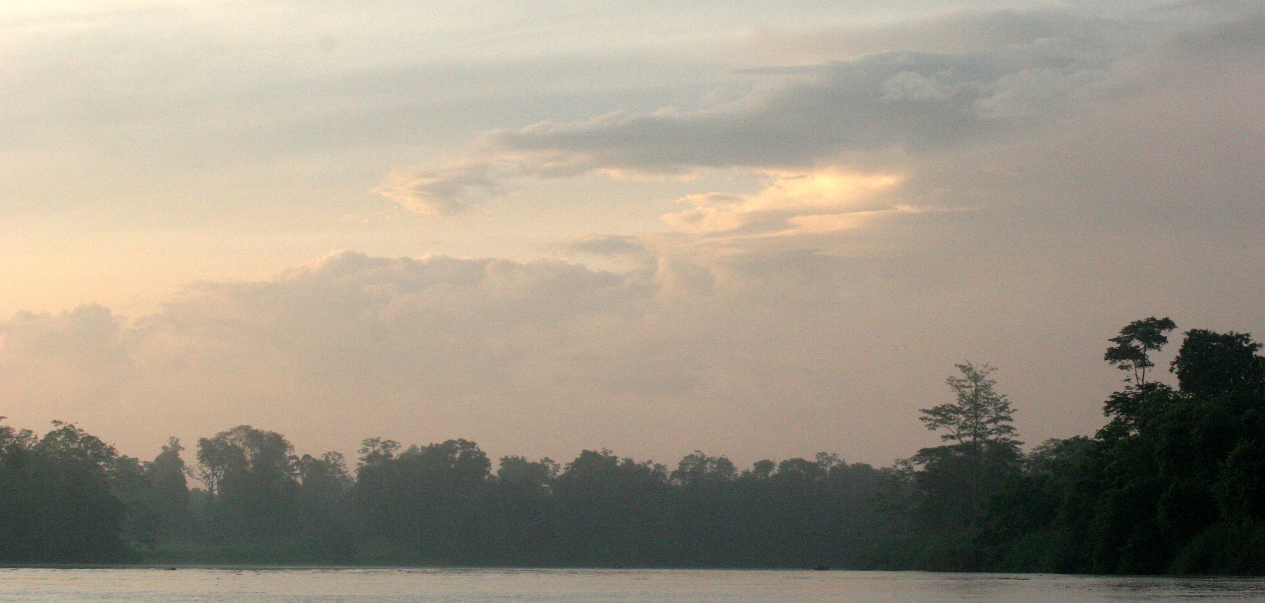 KINABATANGAN RIVER BORNEO - SUNSET (10).JPG