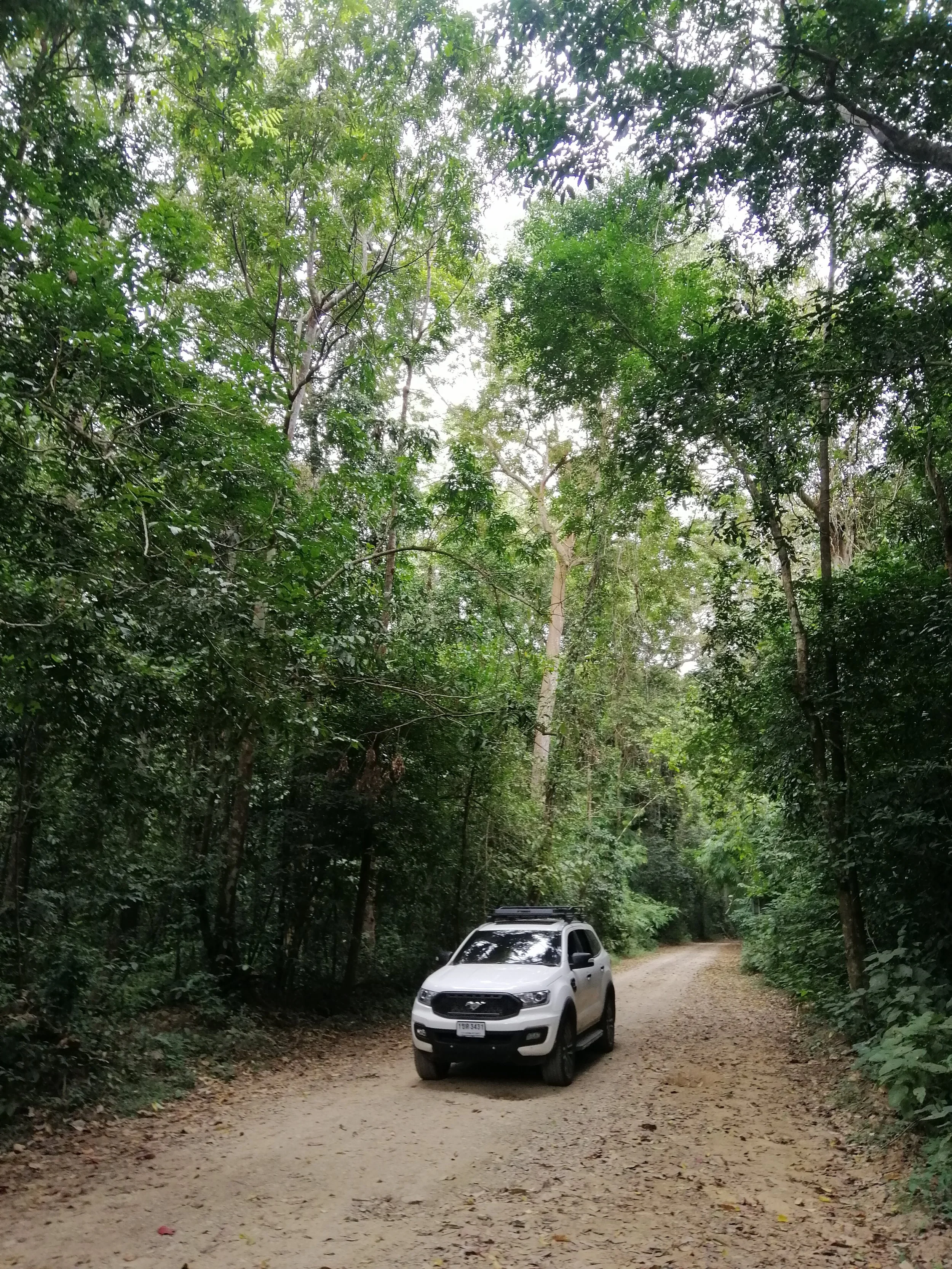 This is the main and only road to the core area of Kaeng Krachan