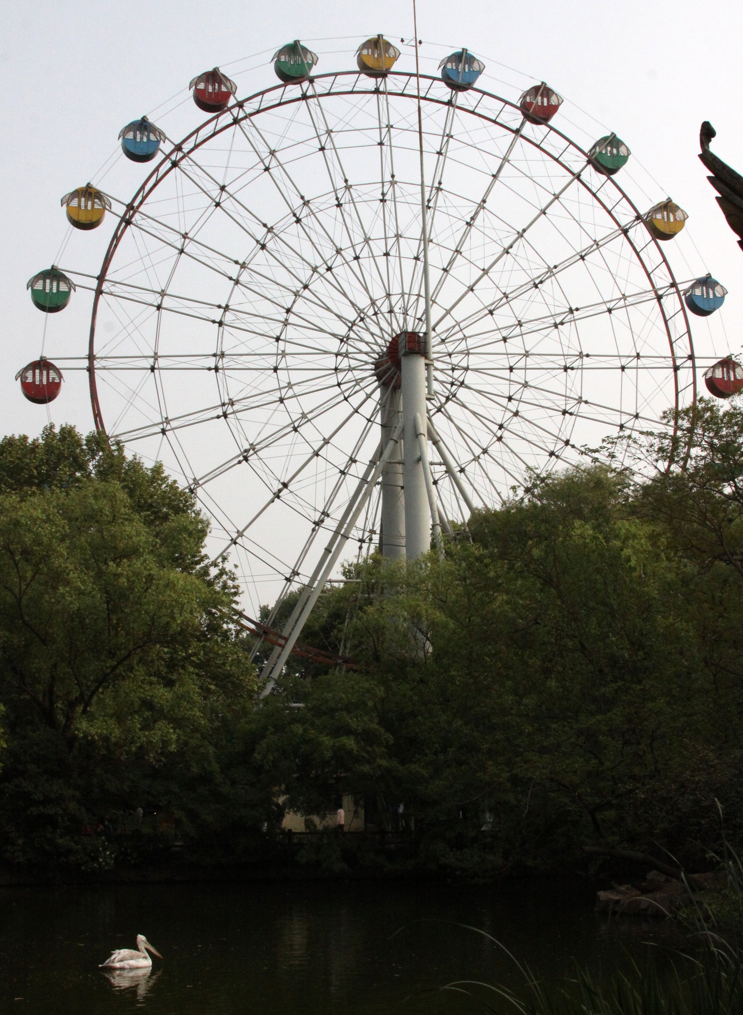 2011-5-6 SHANGHAI ZOO (17).JPG