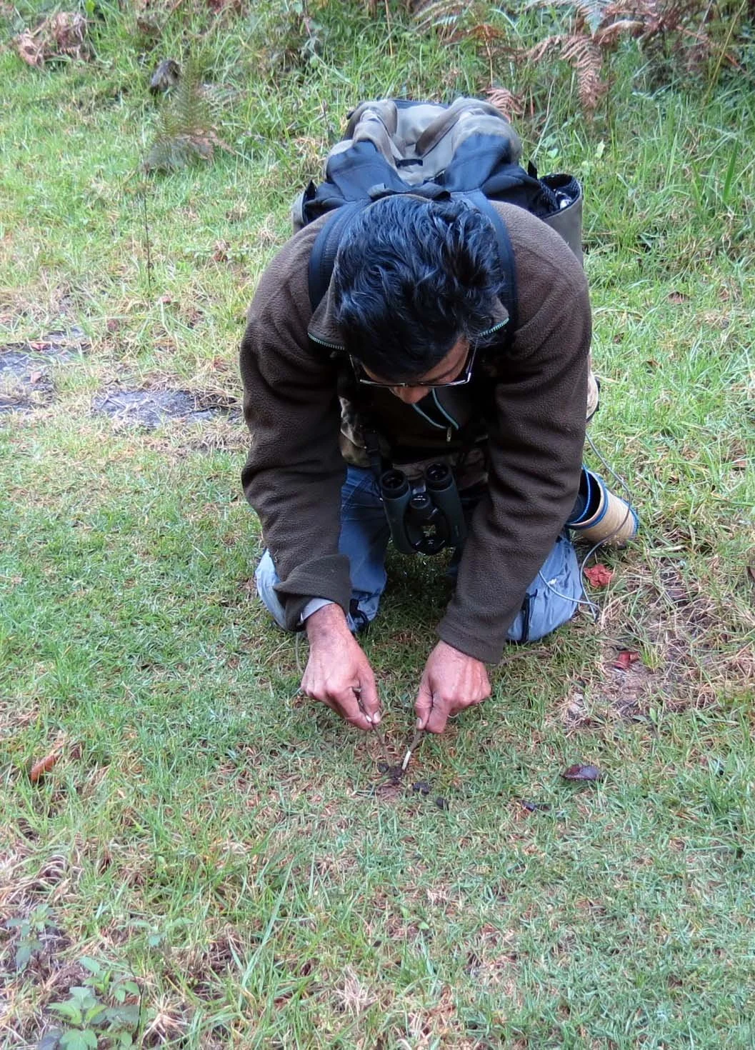PAMPADUM SHOLA NATIONAL PARK INDIA - VATTAVADA (42).JPG