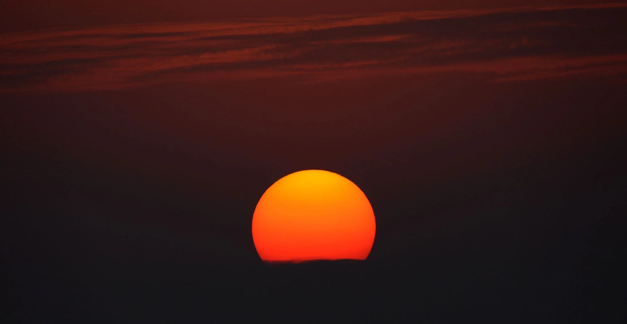 NANJI HILL RESERVE - POYANG LAKE CHINA (10).JPG