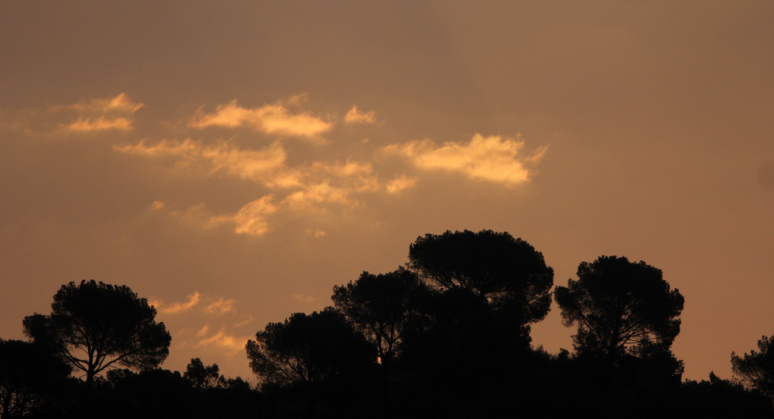 SIERRA DE ANDUJAR SPAIN (12).JPG