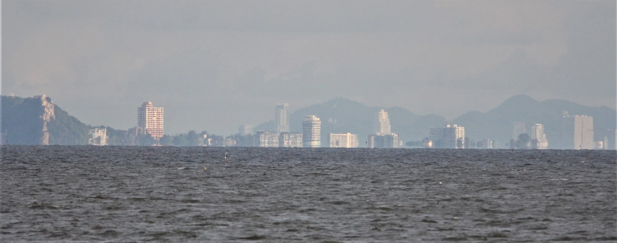 2019 Ban Pak Khlong Pramong in Chachoengsao Whale Trip (14).JPG