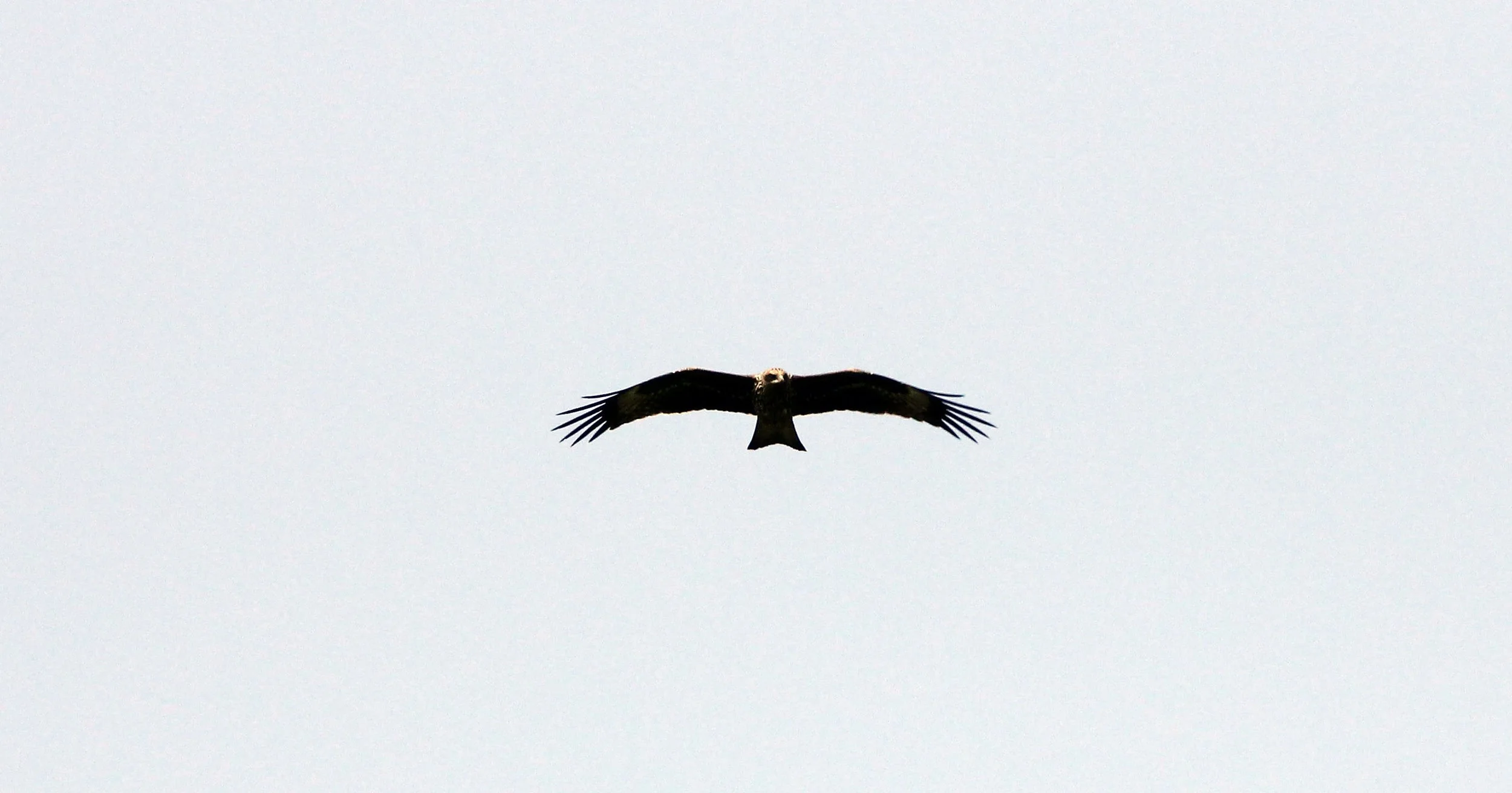 2015 Koh Lanta October Break Trip  (334).JPG