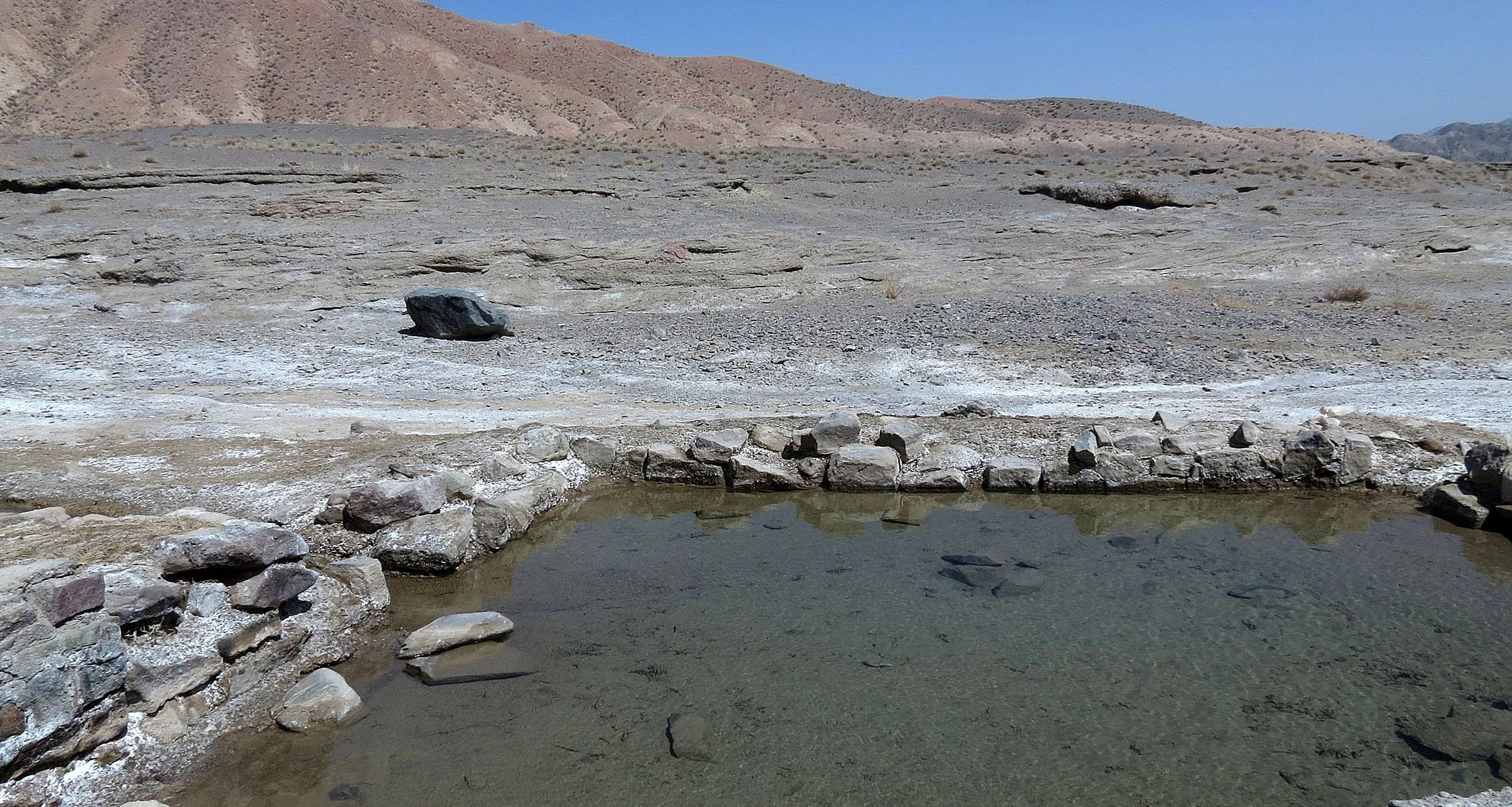 LOP NUR WILD BACTRIAN CAMEL RESERVE - XINJIANG CHINA (58).JPG