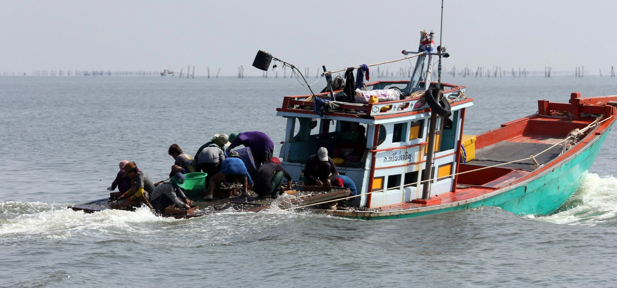 2014 Amphawa Trip to See Whales from Baan Taboon (131).JPG