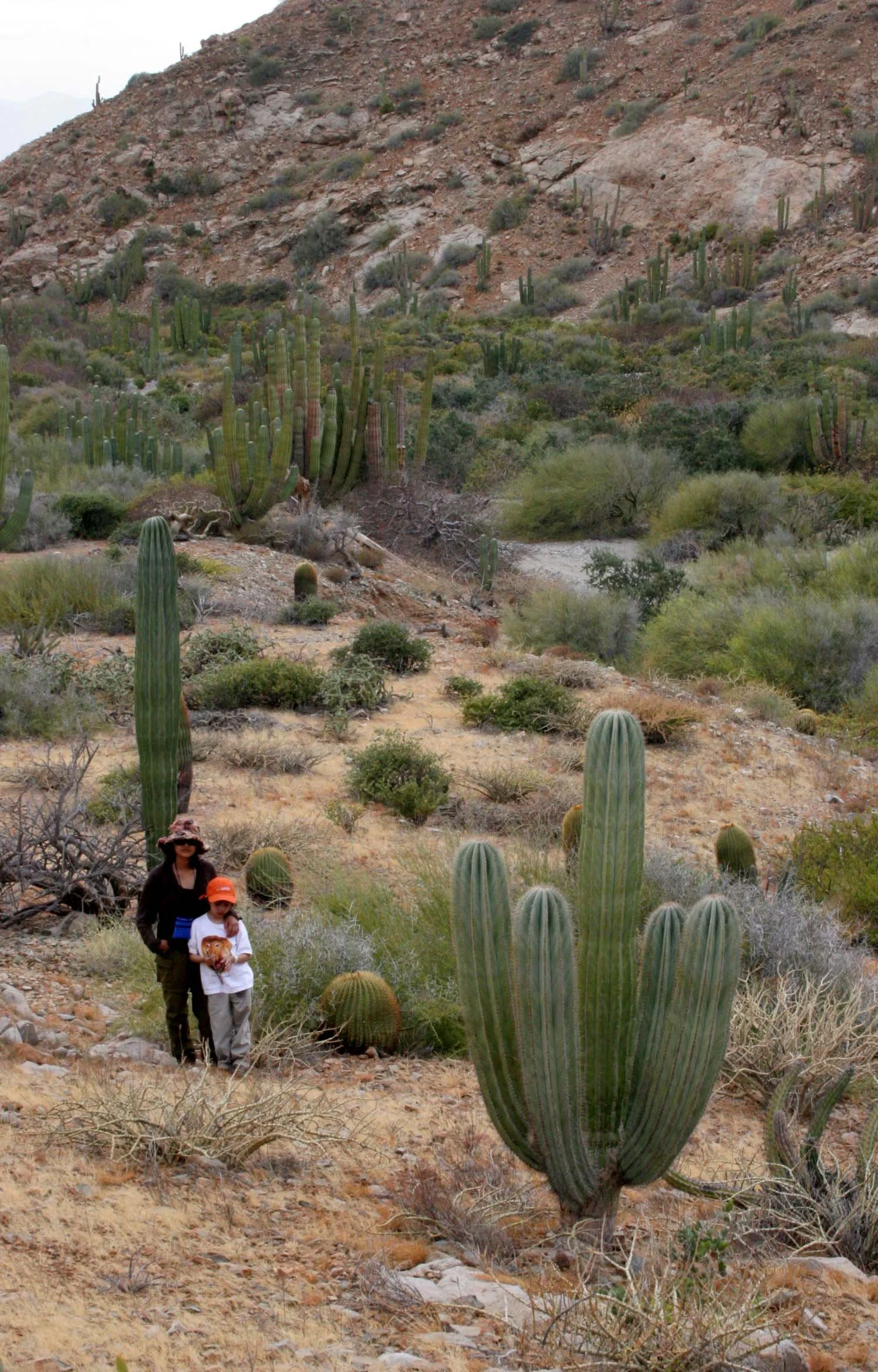 ISLA CATALINA - IN OUR CAMPING AREA - BAJA MEXICO.JPG