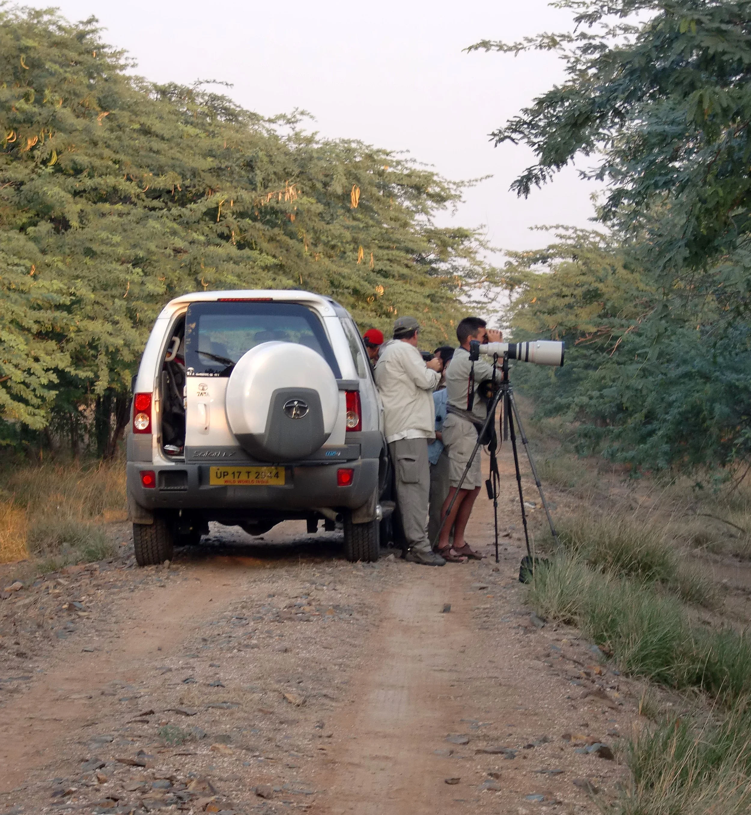 GUJARAT - BLACKBUCK NATIONAL PARK INDIA (2).JPG
