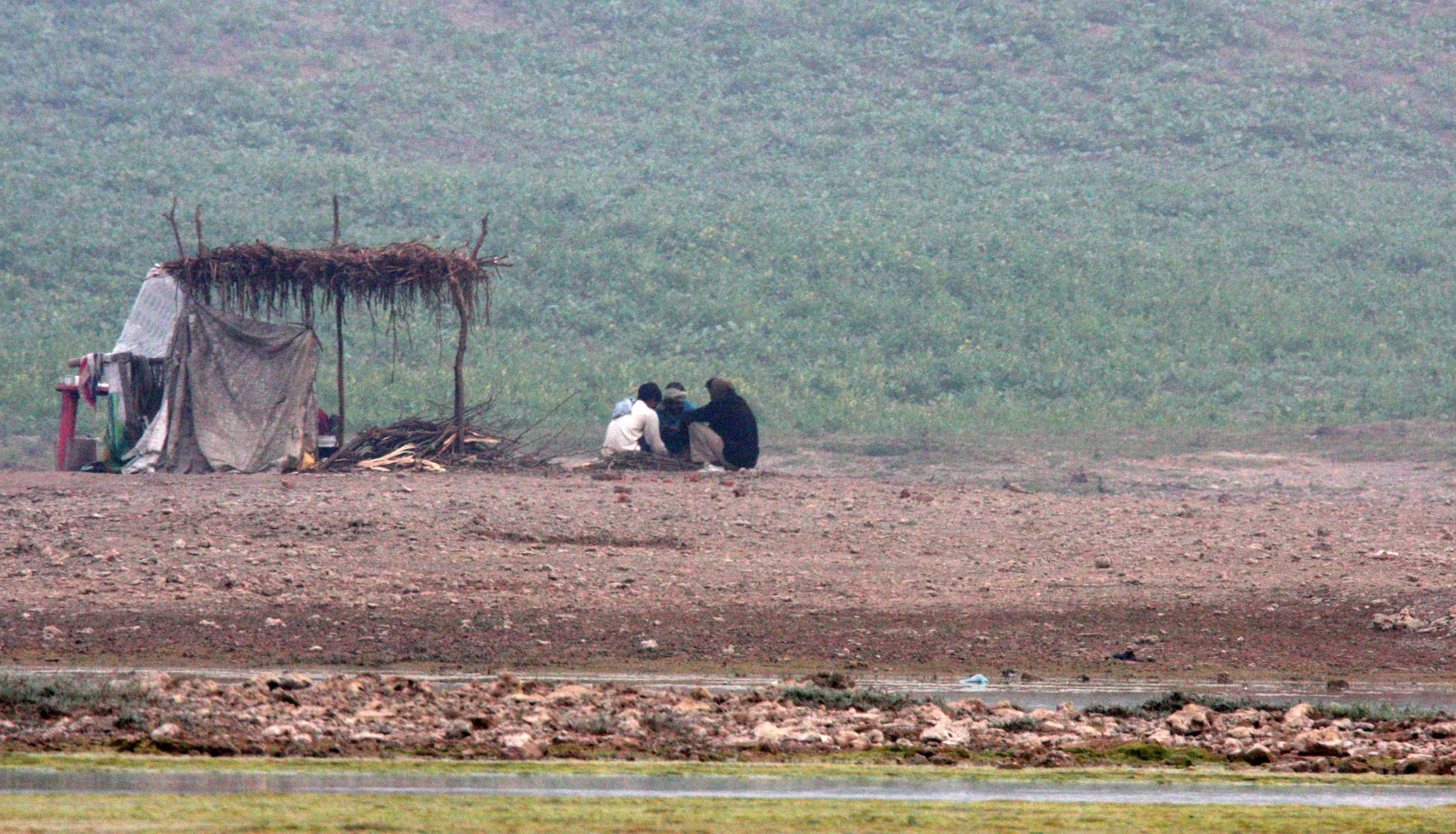 CHAMBAL RIVER SANCTUARY INDIA (2).JPG