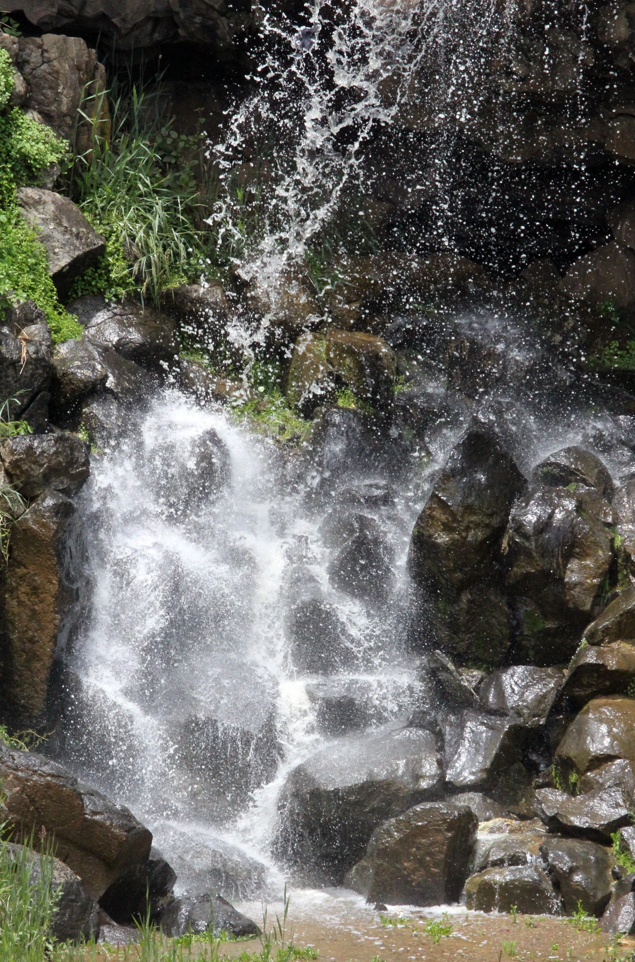 BALE MOUNTAINS NATIONAL PARK ETHIOPIA (93).JPG
