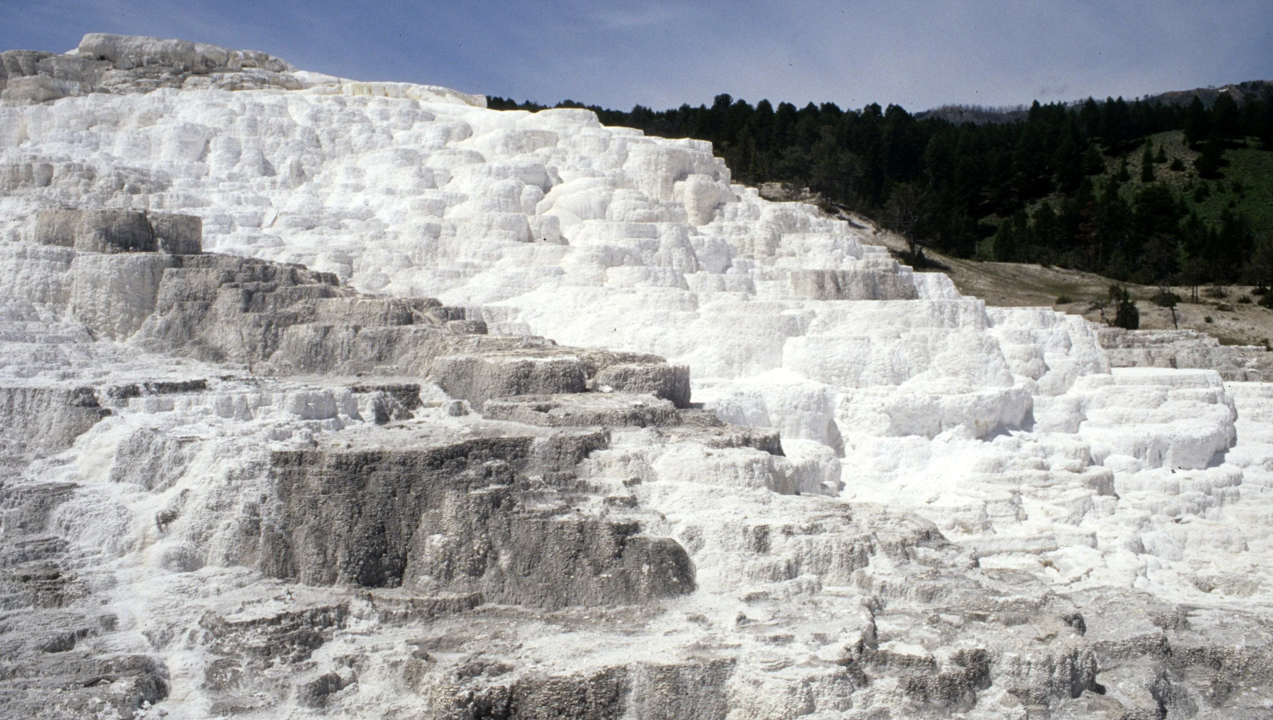 YELLOWSTONE - MAMMOTH HOTSPRINGS GR.jpg