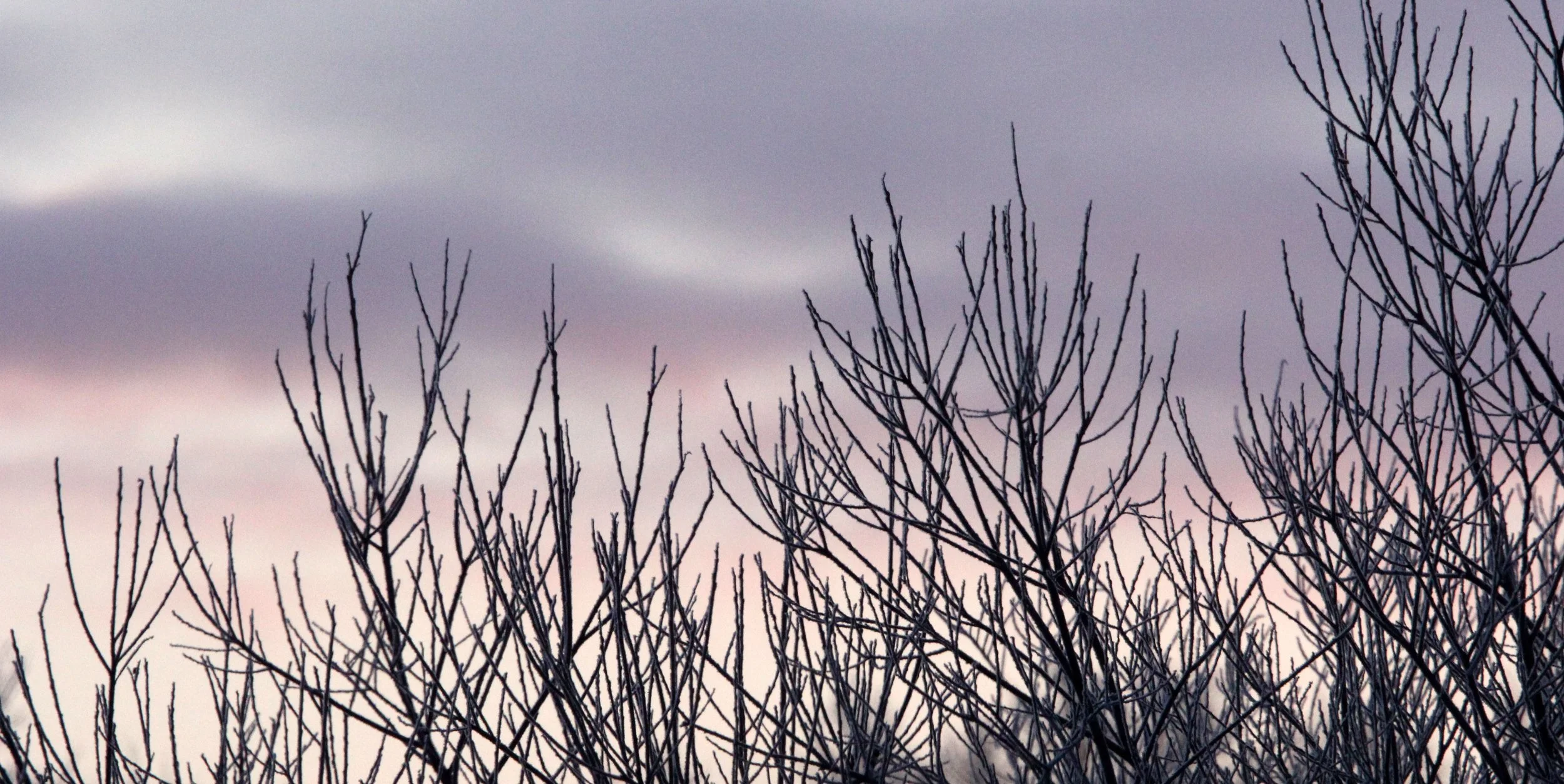 OTOWABASHI SETSUGAWA - TSURUI TOWN - HOKKAIDO JAPAN (5).JPG