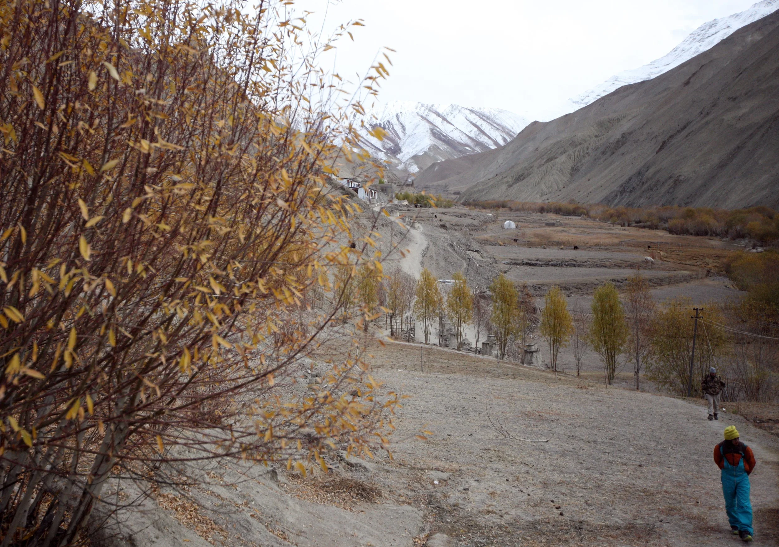 HEMIS NATIONAL PARK - LADAKH INDIA - JAMMU & KASHMIR NEAR RUMBAK VILLAGE (496).JPG