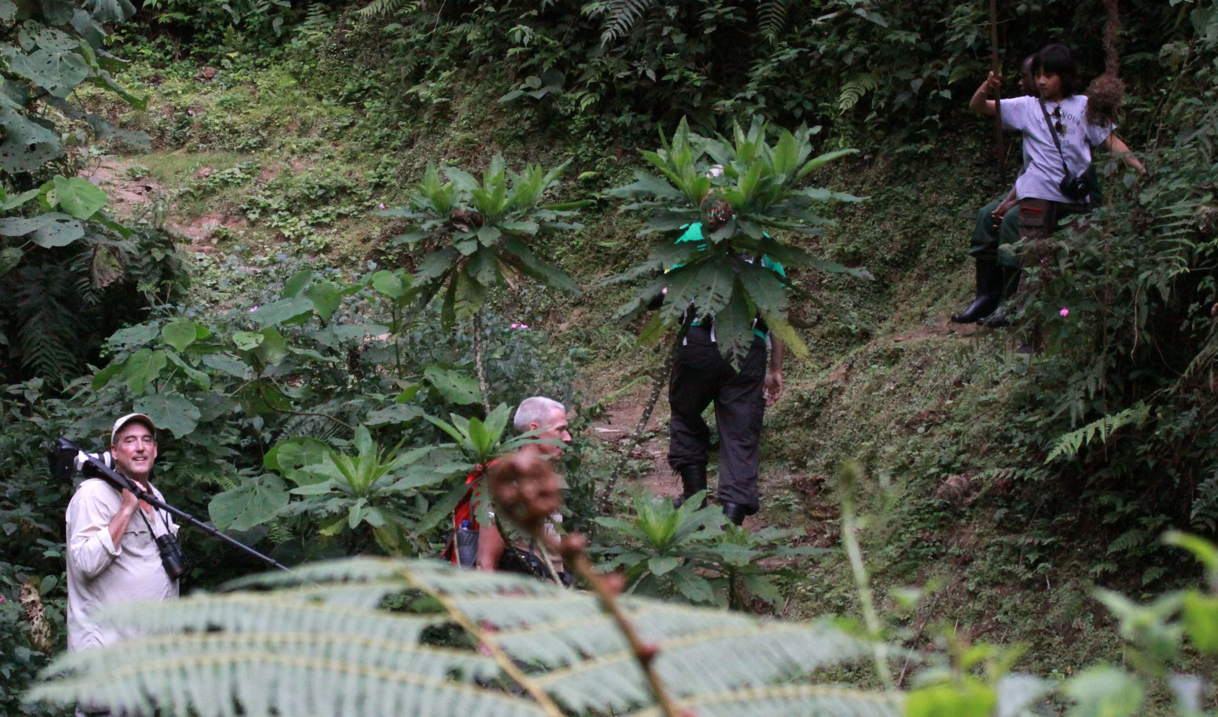 NYUNGWE NATIONAL PARK RWANDA (518).JPG
