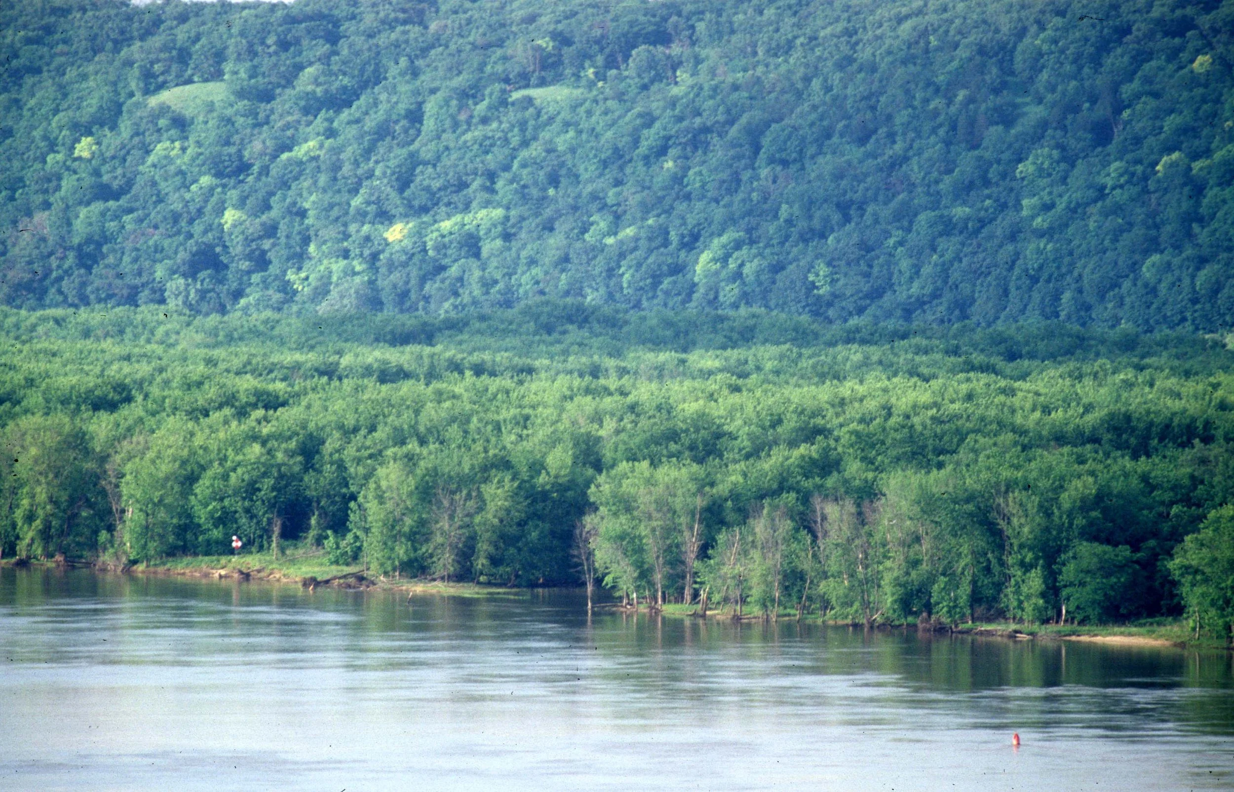 Midwestern Hardwood Forest at Effigy Mounds National Monument Iowa