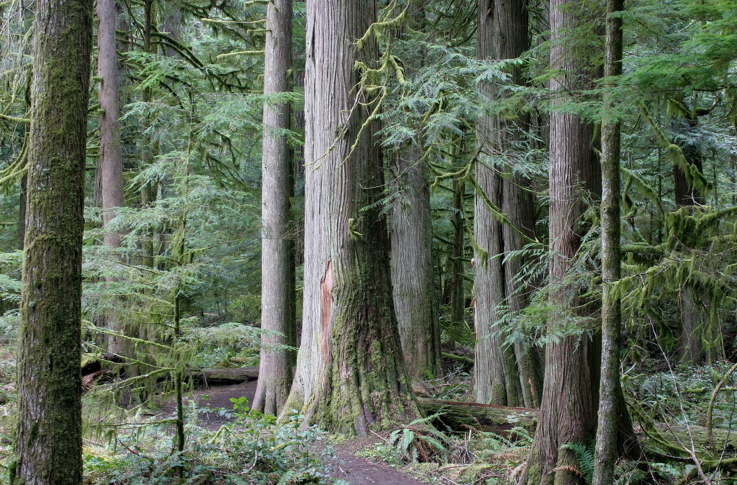 Washington & Olympic Peninsula - Nature & Family