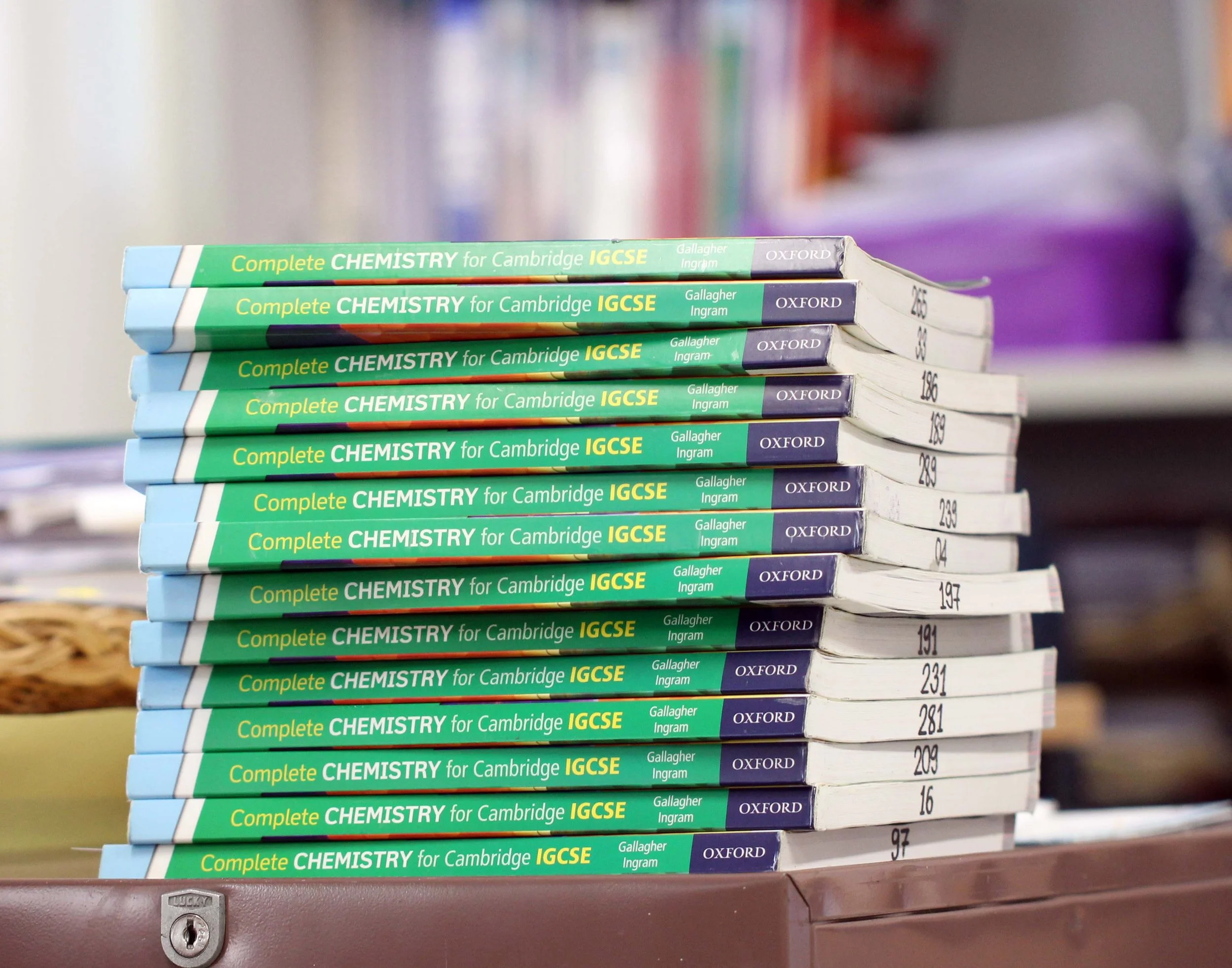 2013 Christmas Time at ISB (2).JPG