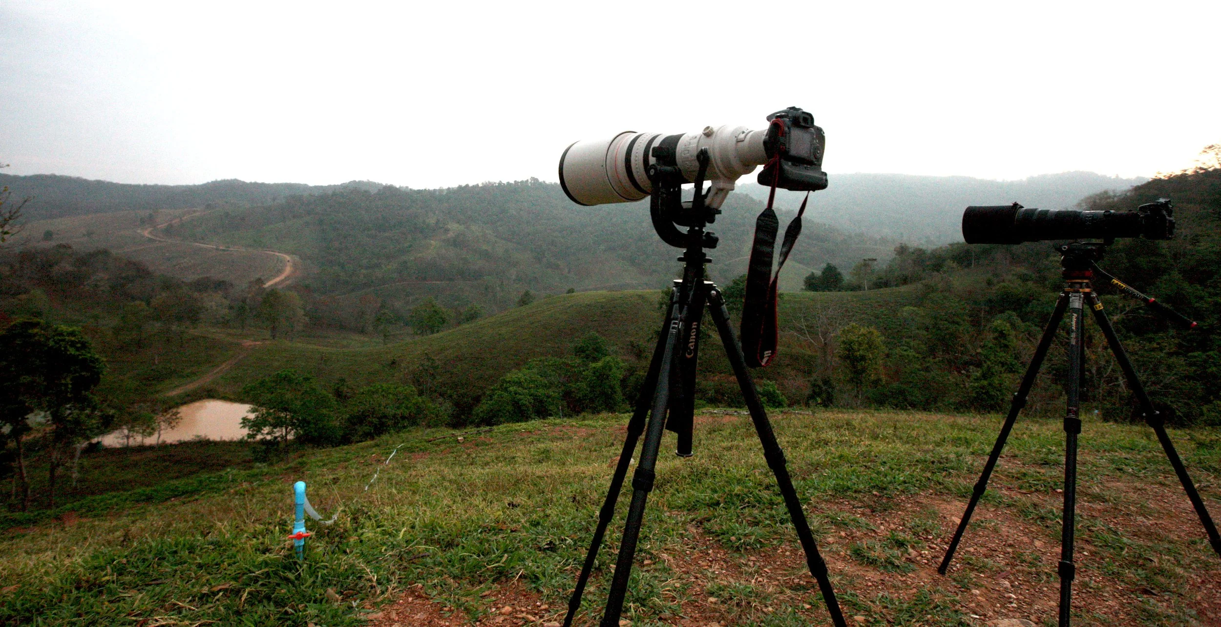 2015 Khao Pang Ma Nonhunting Area (182).jpg