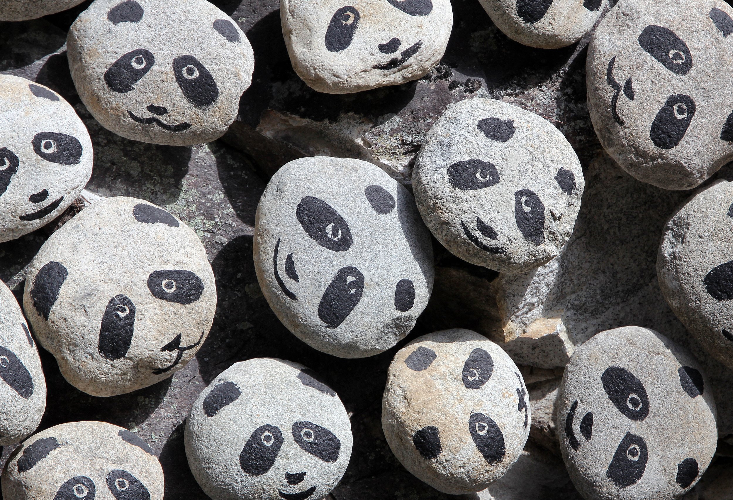 FOPING NATURE RESERVE, SHAANXI CHINA (4).JPG