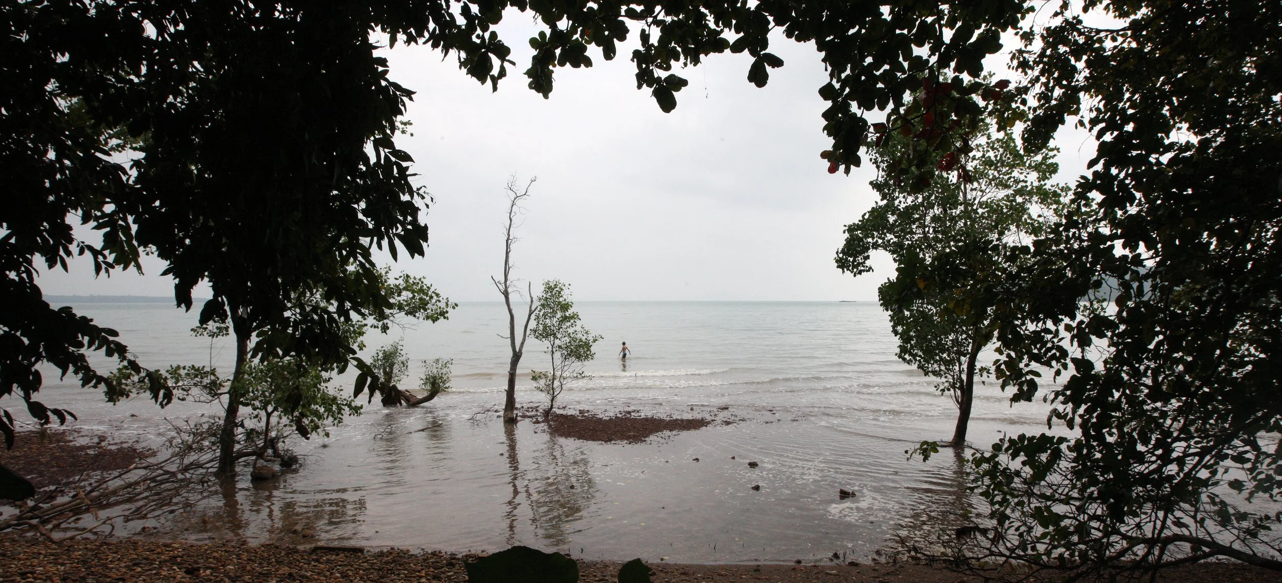 LANTA ISLAND - OUR PROPERTY - WINTER 2011 (13).JPG