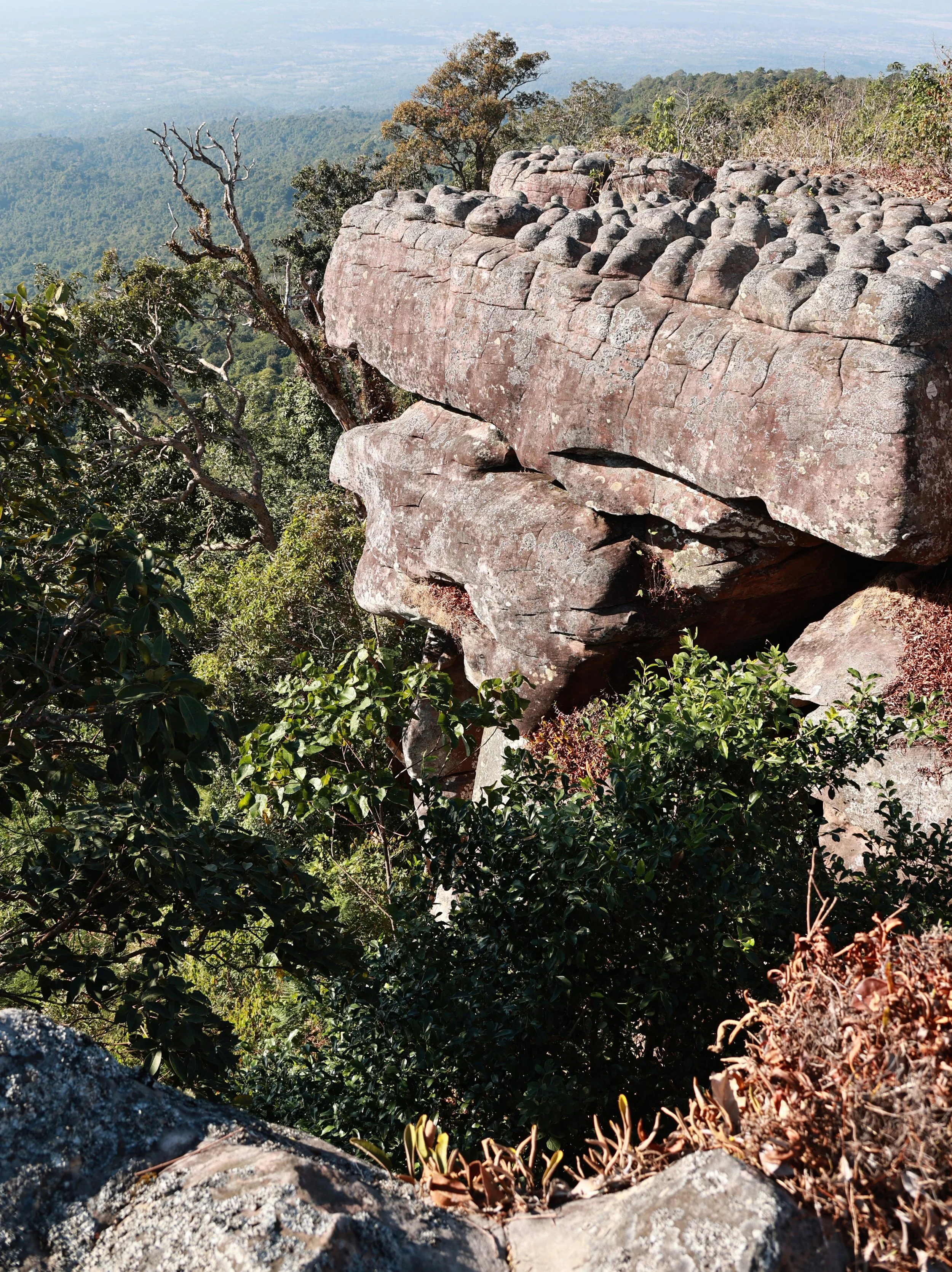 Phu Hin Rong Kla National Park Loei Province (122).jpg