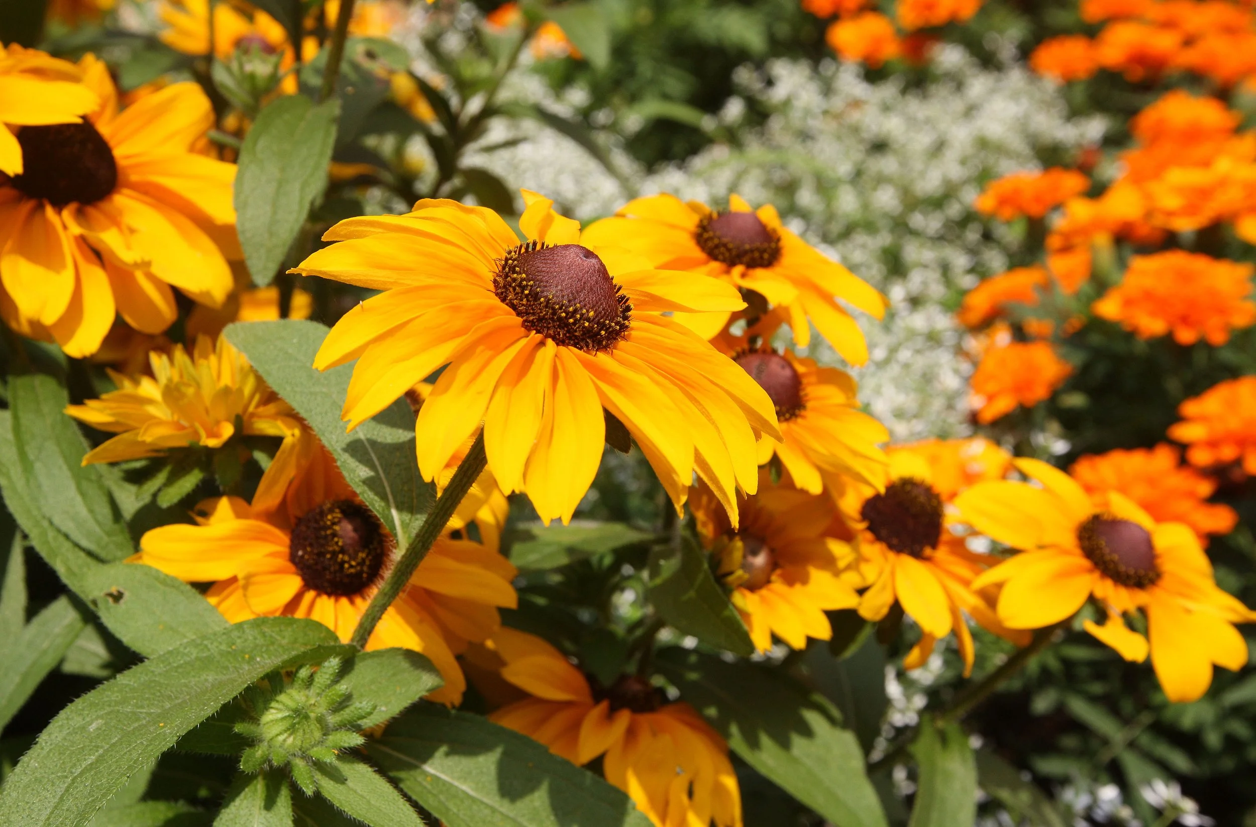 MILAN ITALY - JULY 2013 (14).JPG
