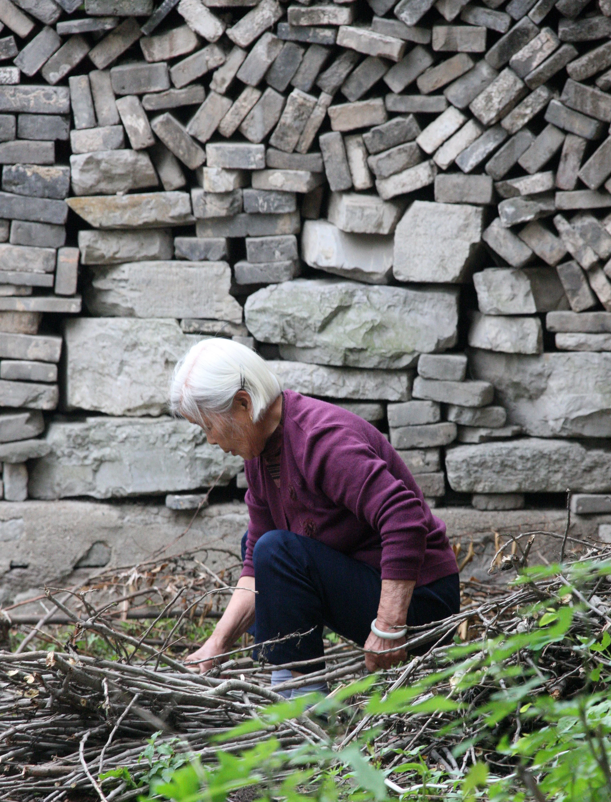 TONGLING RIVER DOLPHIN NATIONAL NATURE RESERVE - YUZHOU ISLAND (32).JPG