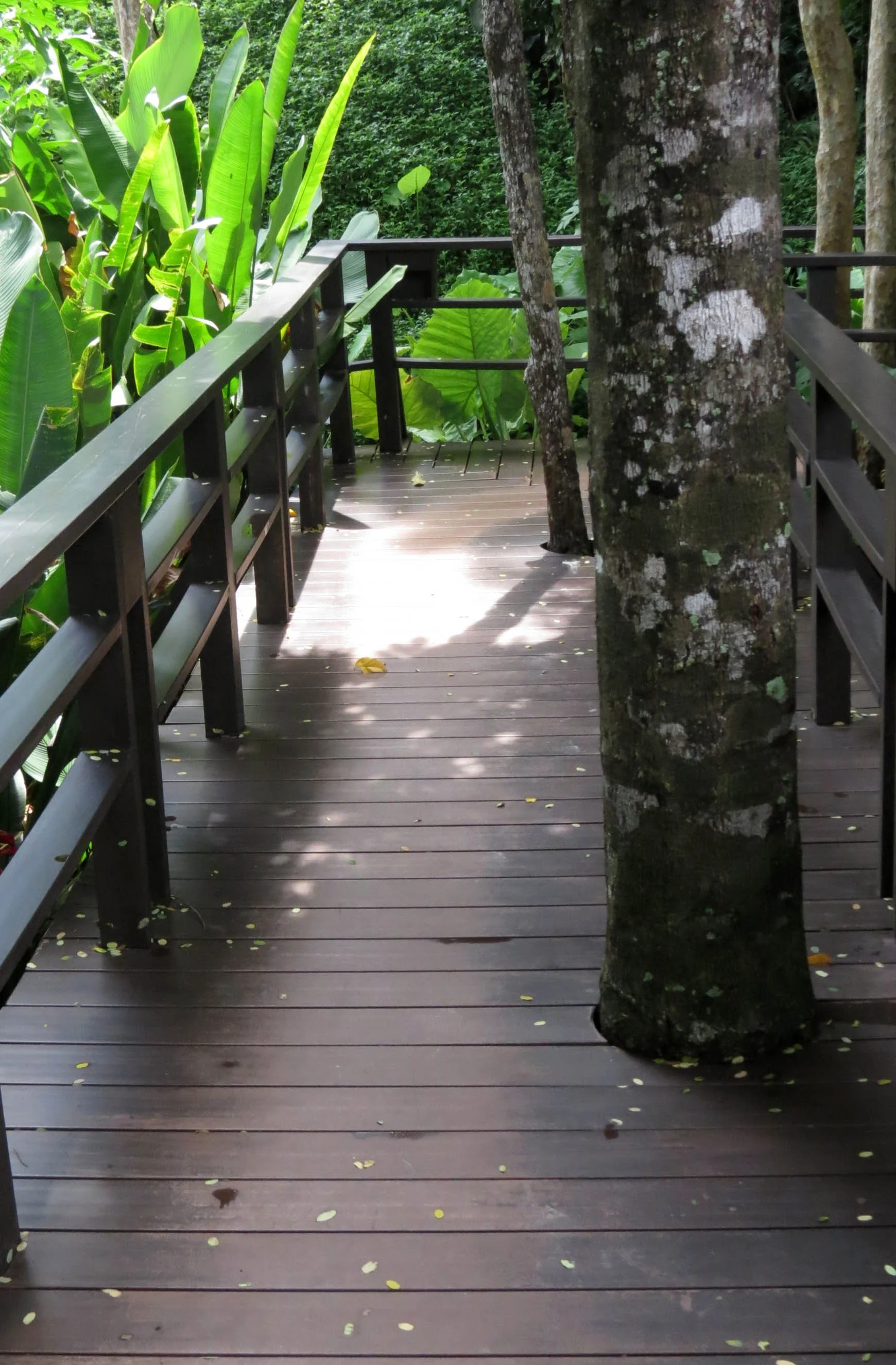 2014 Koh Lanta Build (65).JPG