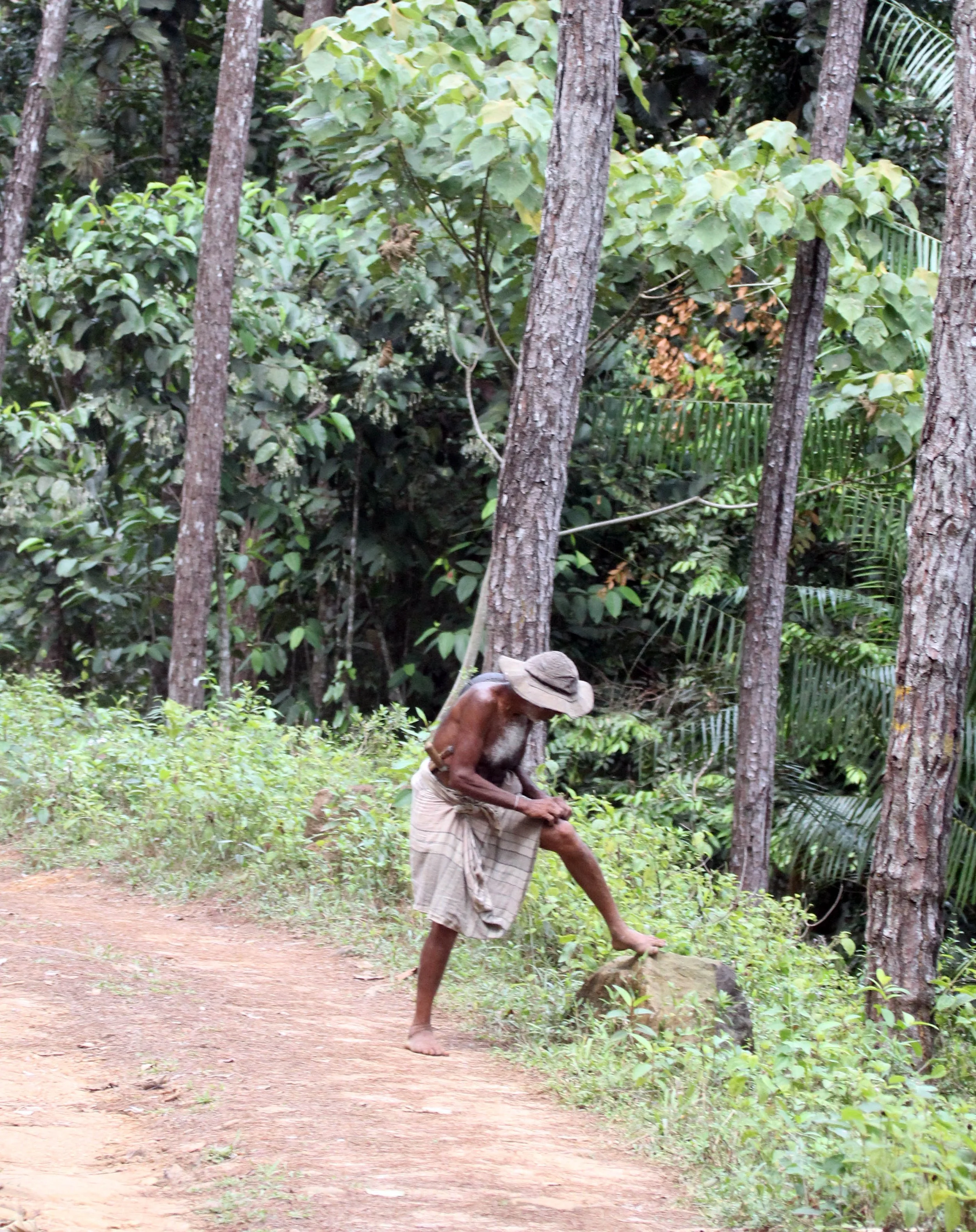 SINGHARAJA NATIONAL PARK SRI LANKA (7).JPG