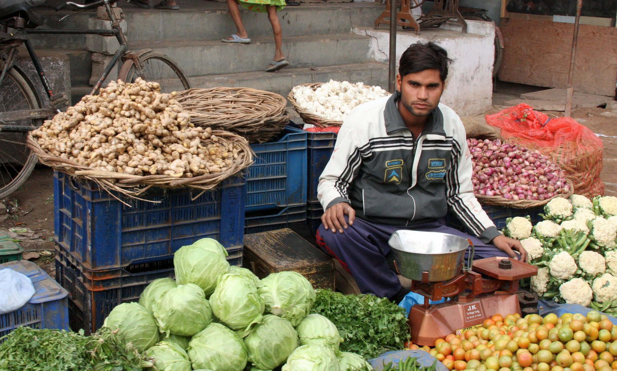 CHAMBAL RIVER SANCTUARY INDIA (28).JPG