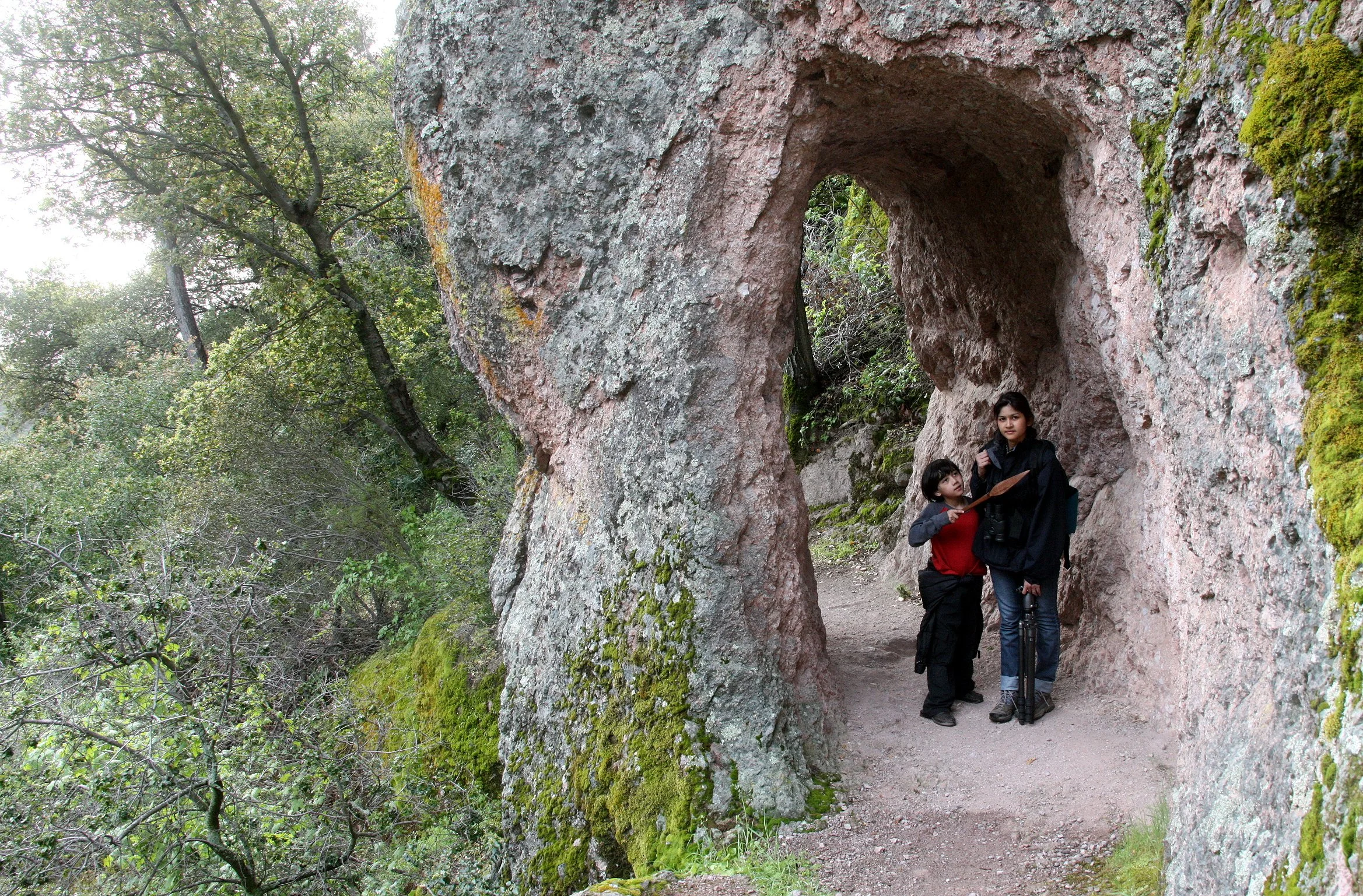 2010-4-2 PINNACLES NATIONAL MONUMENT CALIFORNIA - TREKKING PINNACLES (4).JPG