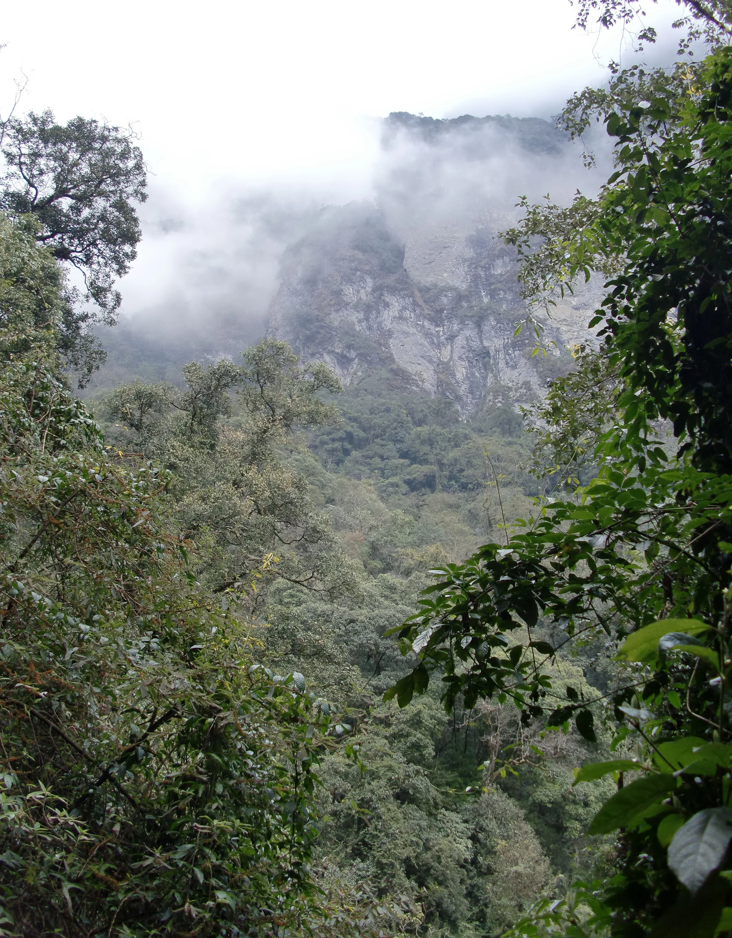 YUNNAN - WULIANGSHAN NATURE RESERVE AND SURROUNDING MOUNTAINS (35).JPG