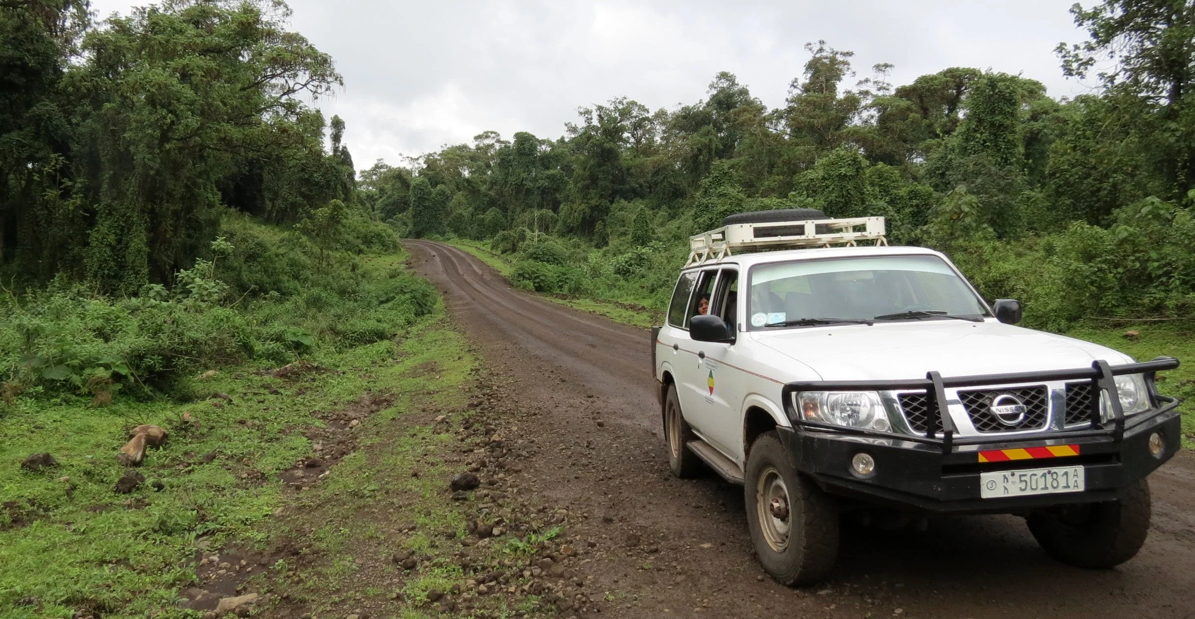 BALE MOUNTAINS NATIONAL PARK - HARENNA FOREST - ETHIOPIA (79).JPG