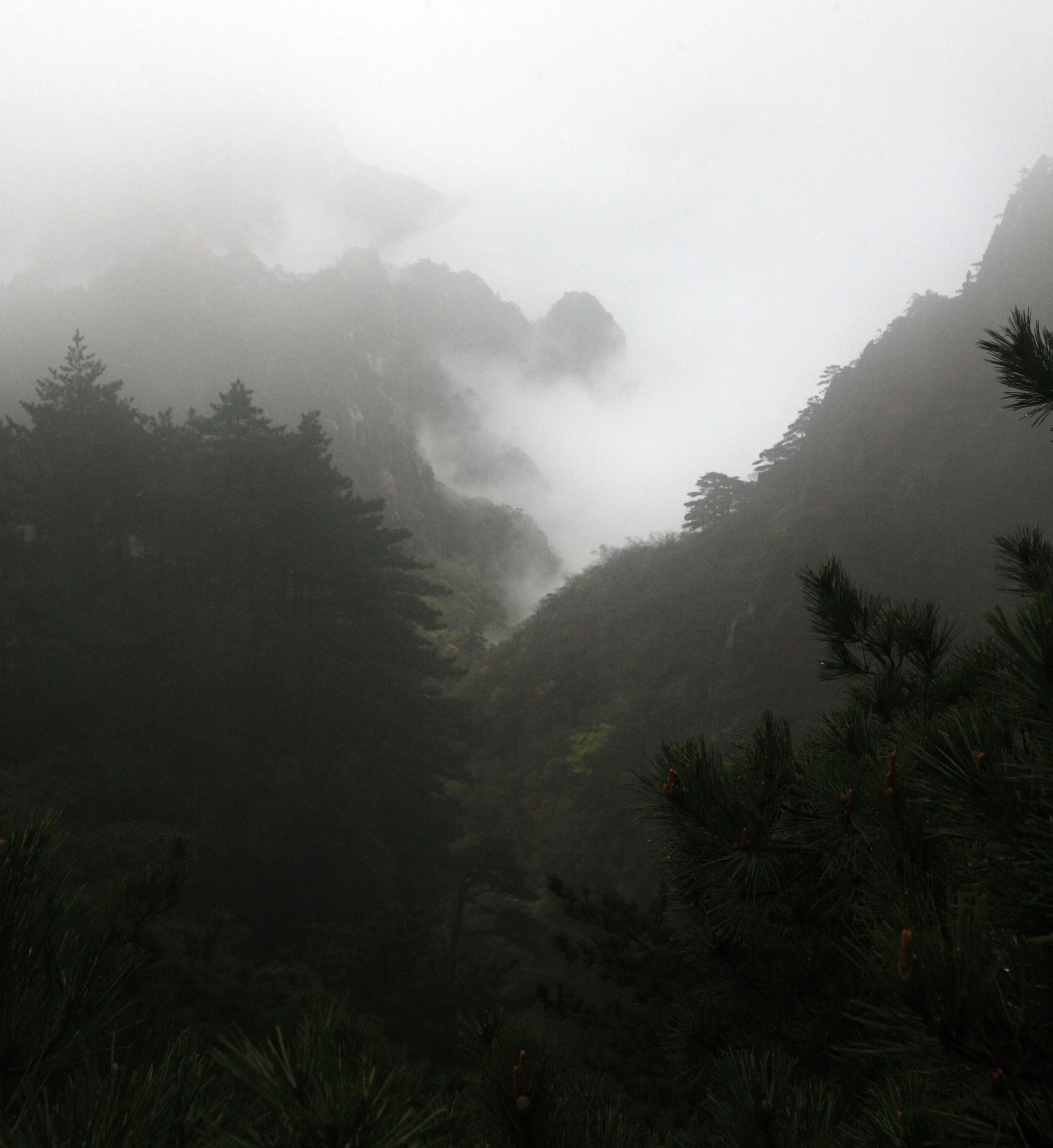 HUANGSHAN NATIONAL PARK ANHUI PROVINCE CHINA (237).JPG
