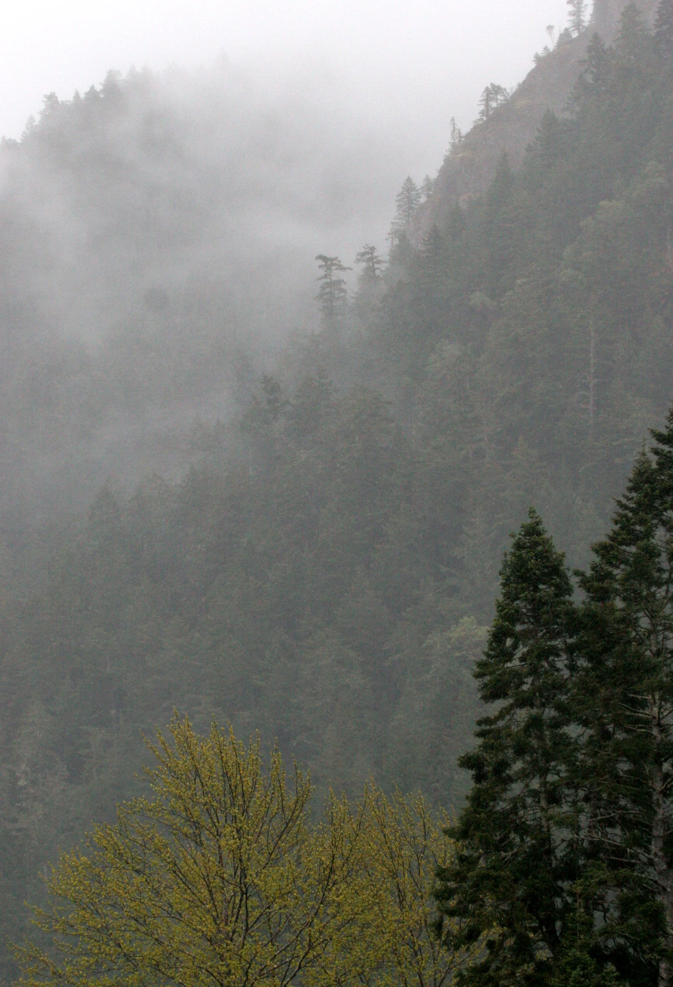 CRESCENT LAKE FOG ON MOUNTAINS (3).JPG