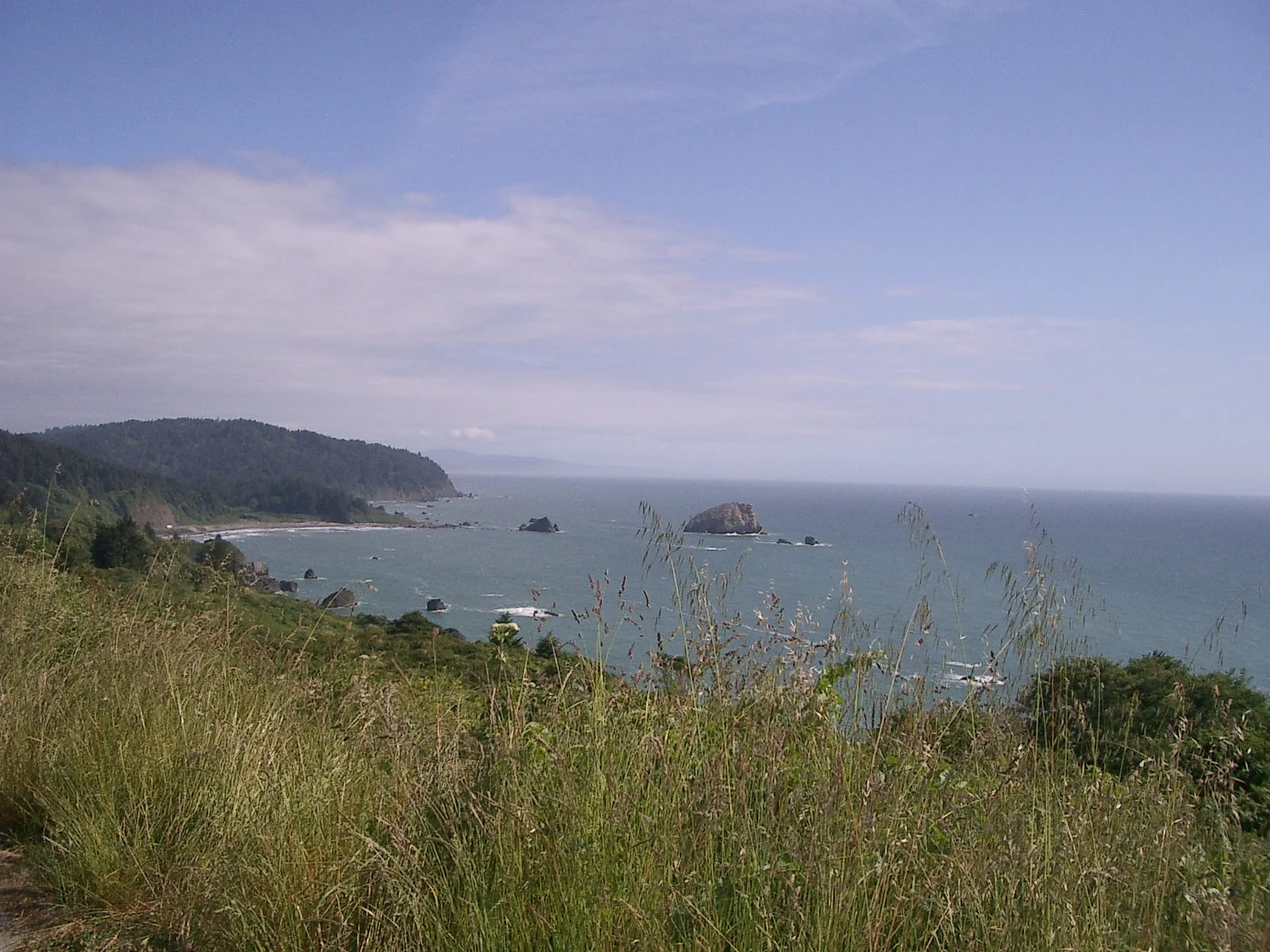 2004-6-12 LARRY AND KATRIS WEDDING IN EUREKA CALIFORNIA (199).JPG