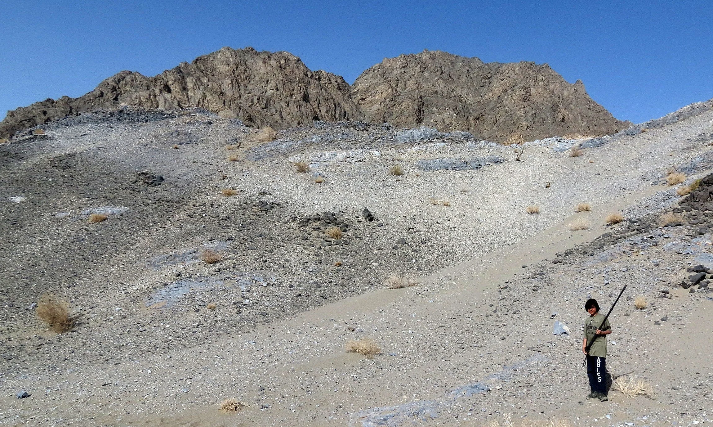 LOP NUR WILD BACTRIAN CAMEL RESERVE - XINJIANG CHINA (46).JPG