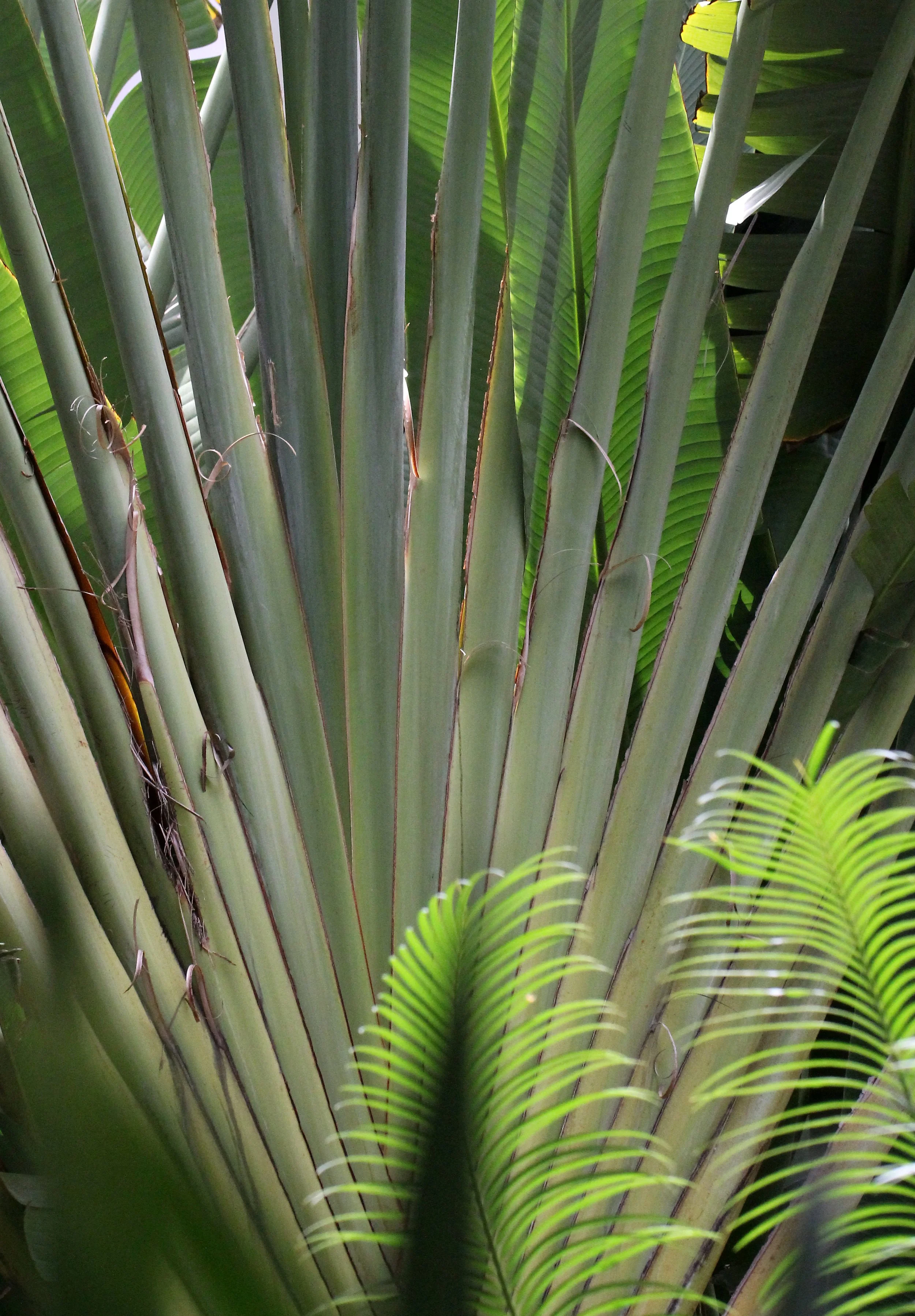 2016 Bangkok & Samut Prakan (19).JPG