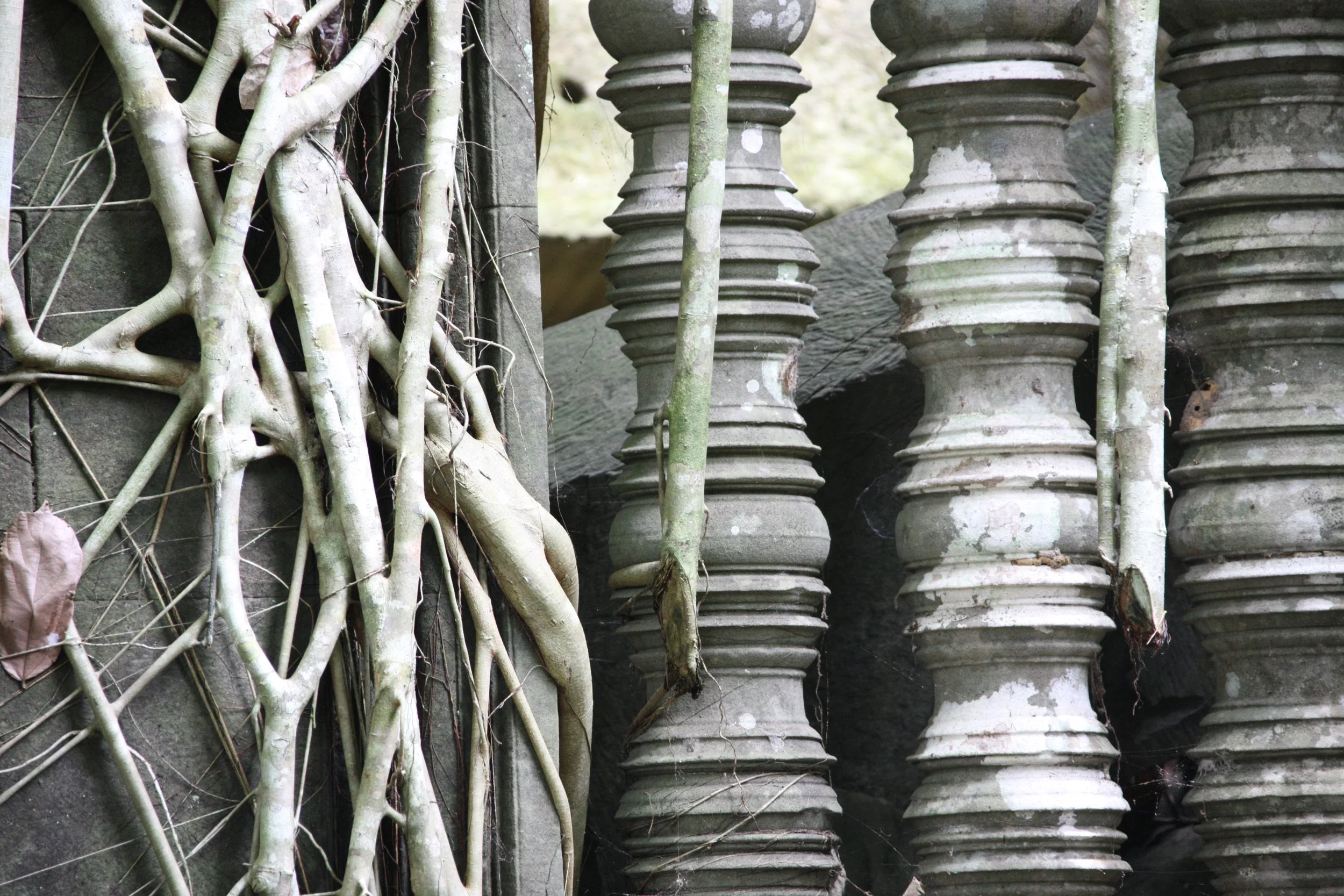 BENG MEALEA - CAMBODIA - JULY 2010 (27).JPG