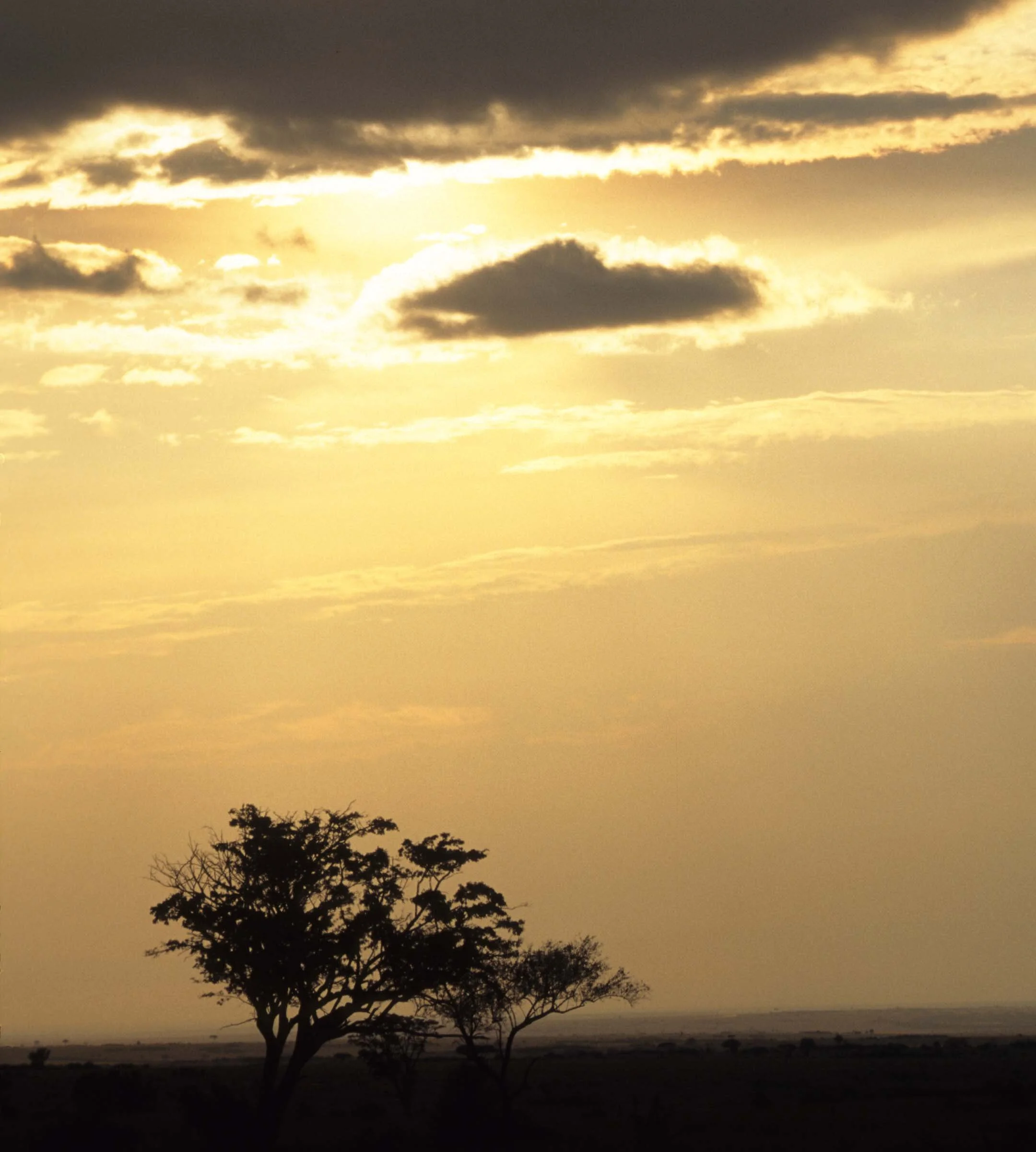 SERENGETI SUNSET 7.jpg