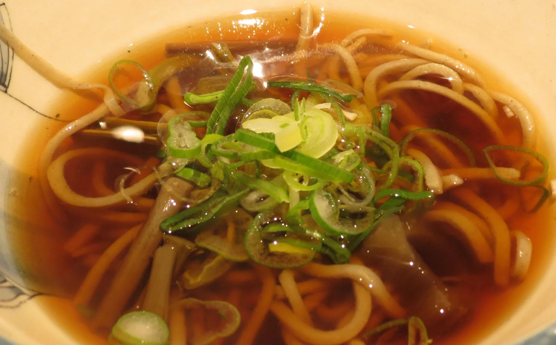 YOROUSHI ONSEN - DAIICHI SPA - HOKKAIDO JAPAN (88).JPG