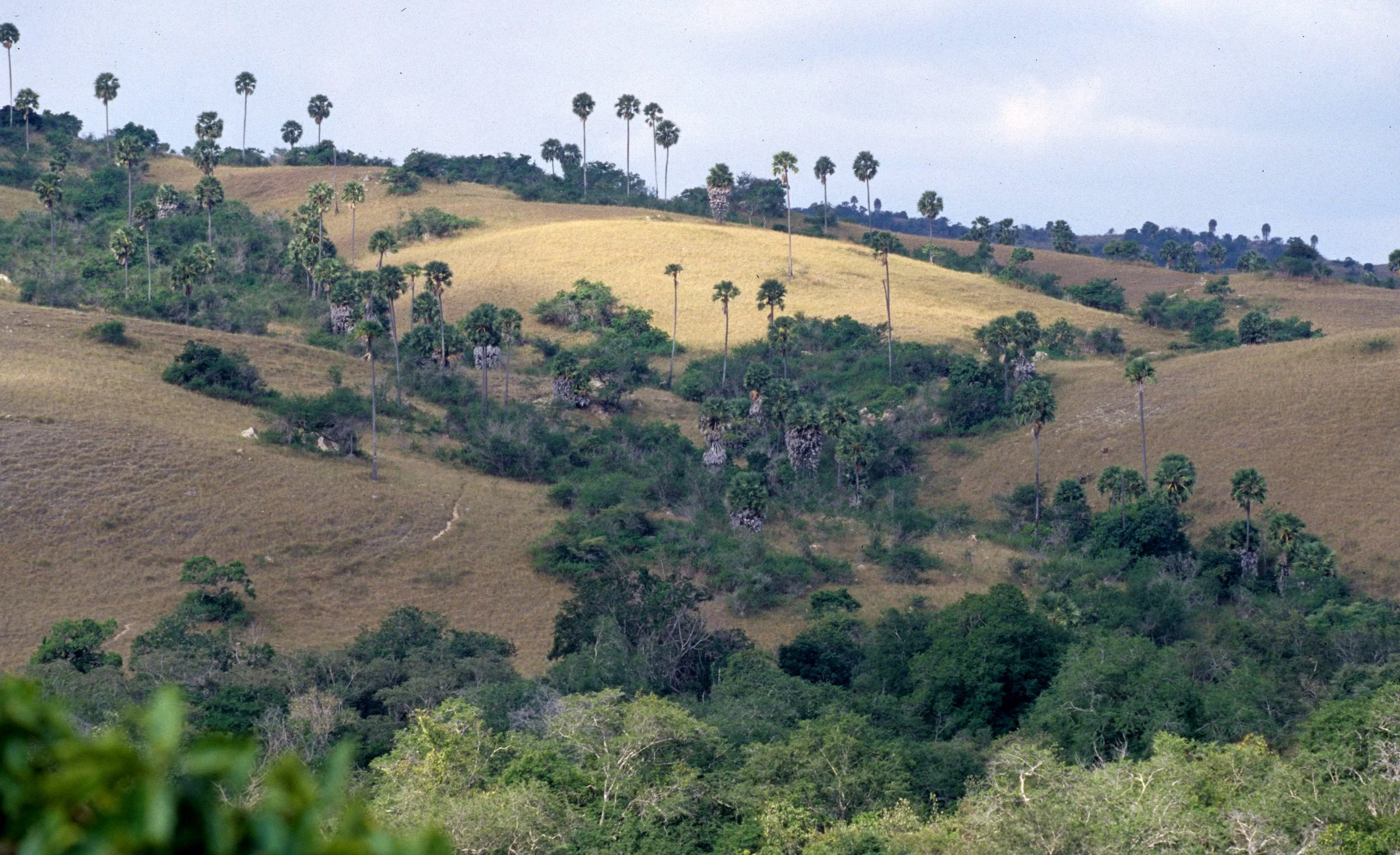 KOMODO - RINJA AND KOMODO ISLAND VIEWS (4).jpg