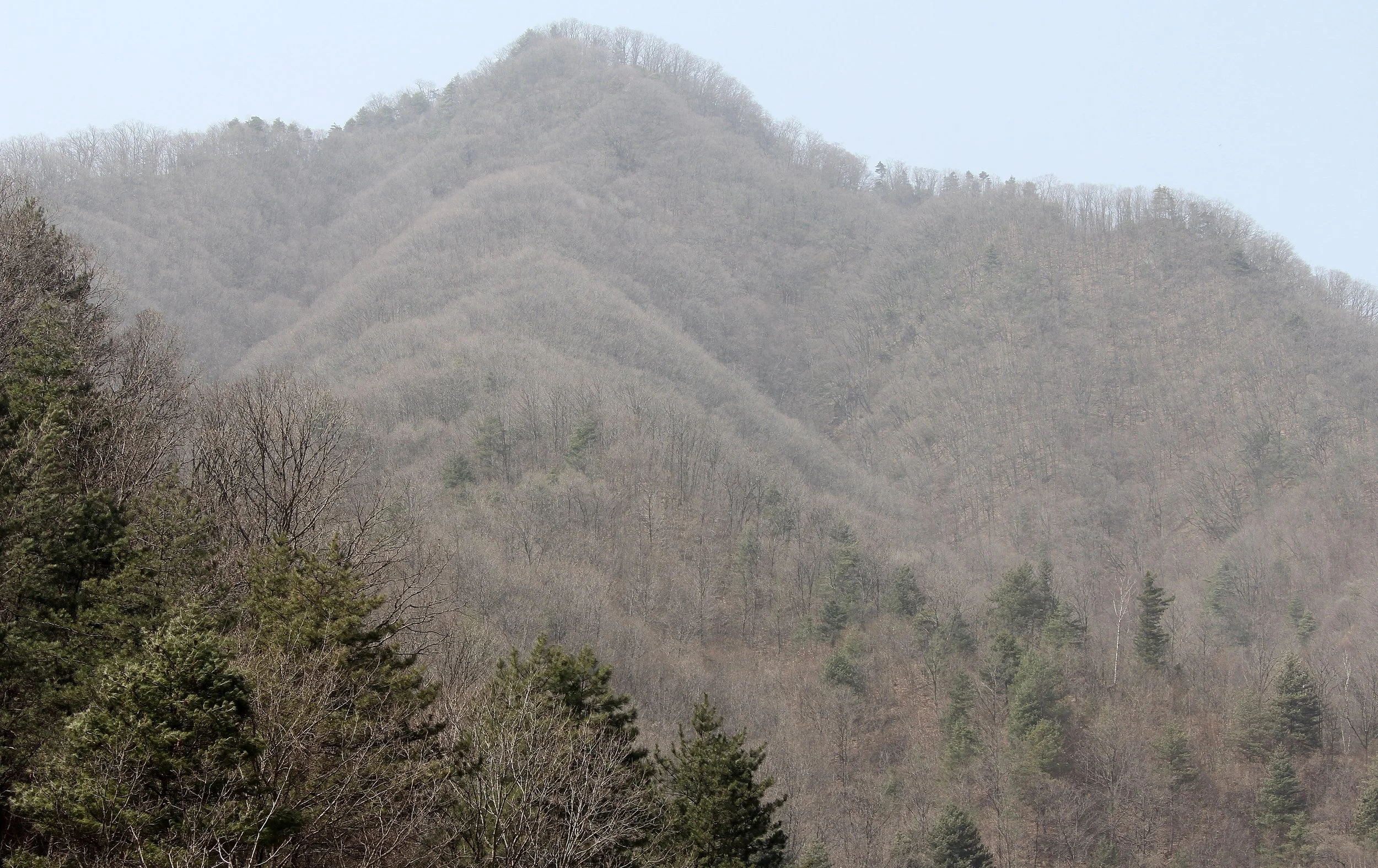 FOPING NATURE RESERVE, SHAANXI CHINA (32).JPG