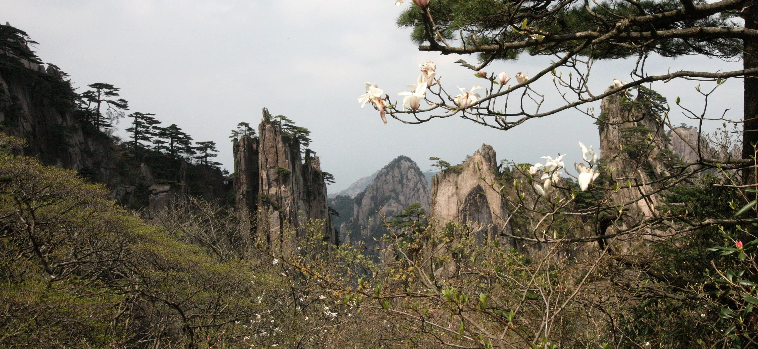 HUANGSHAN NATIONAL PARK ANHUI PROVINCE CHINA (57).JPG