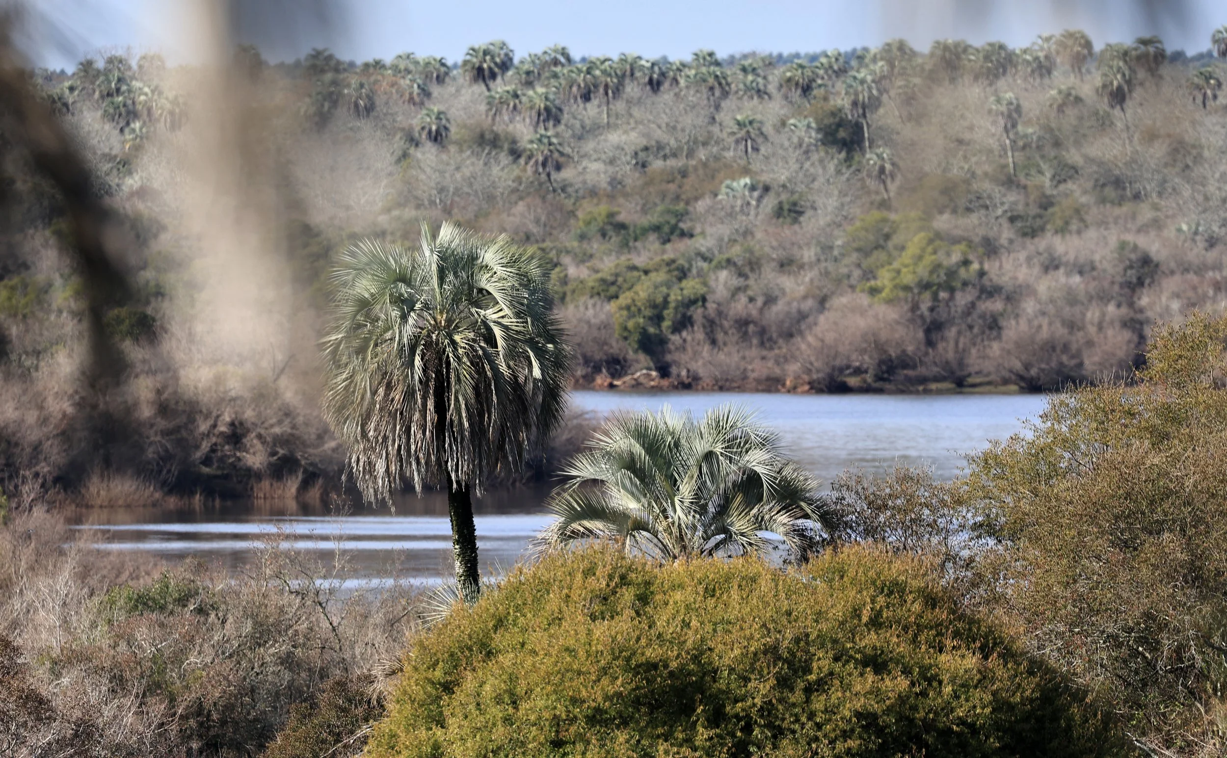 El Palmar National Park, Entre Rios, Argentina (199).jpg